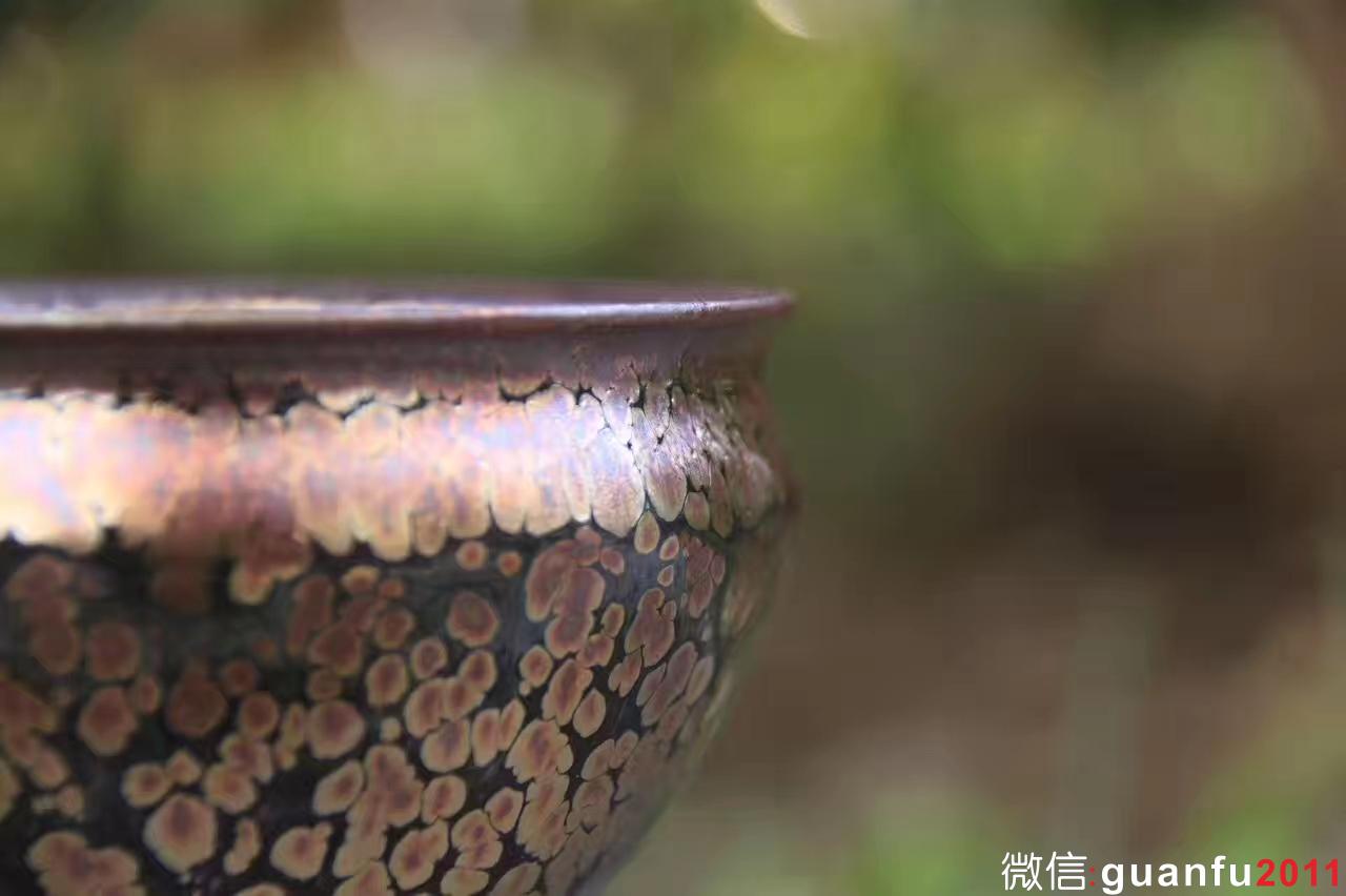 飛惺 新品 芙蓉花 口徑9 高6