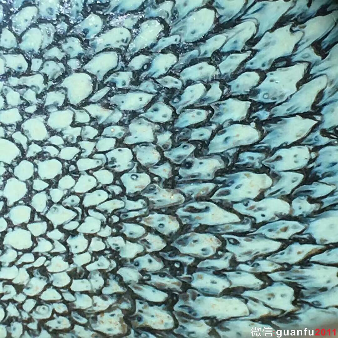 mmexport1530093239461