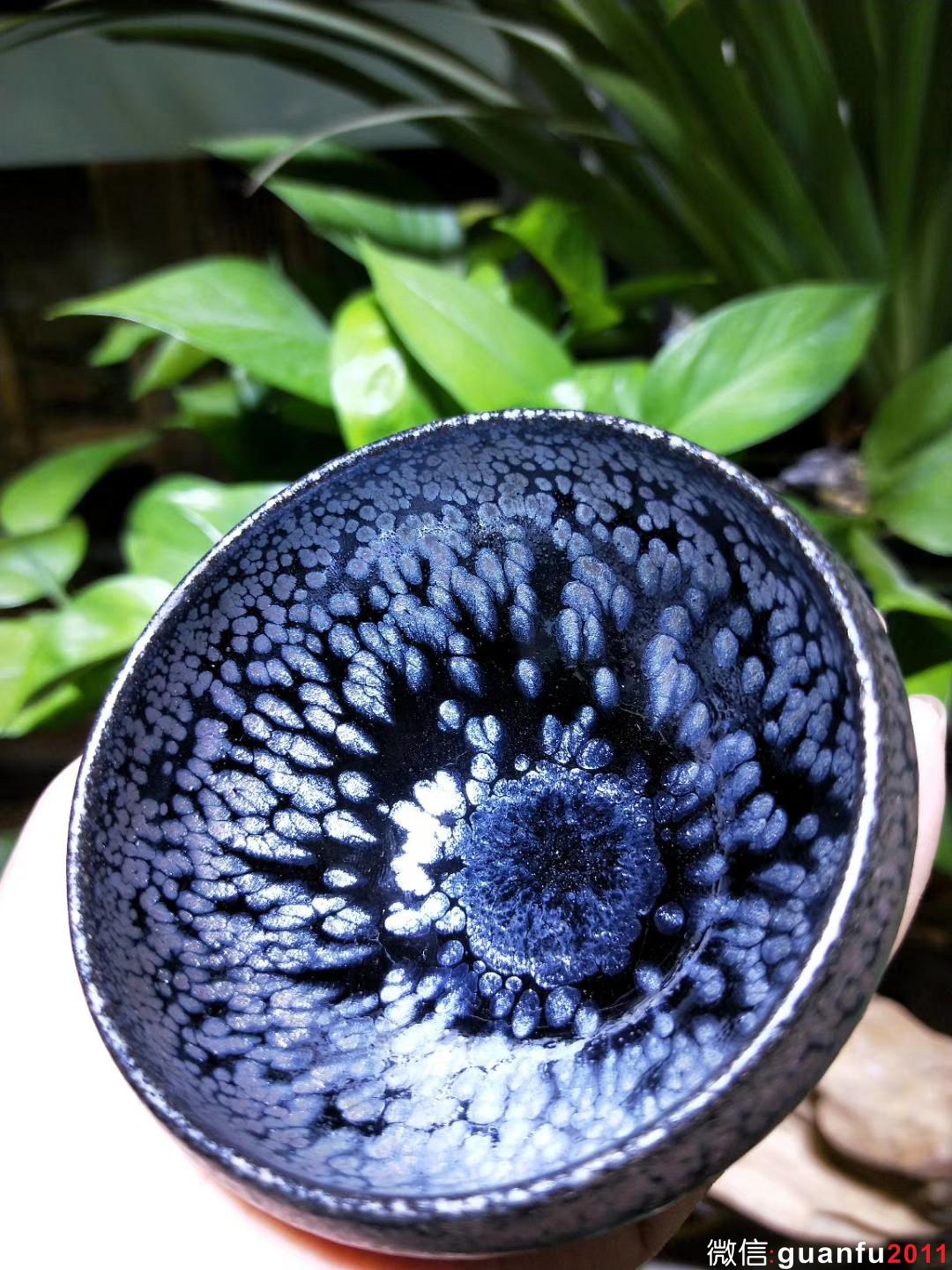 mmexport1530256558252