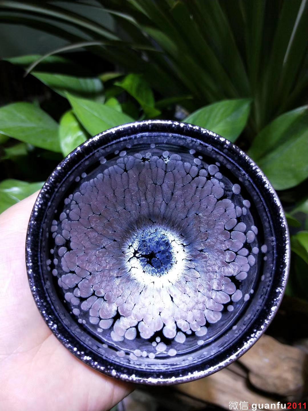 mmexport1530256814348