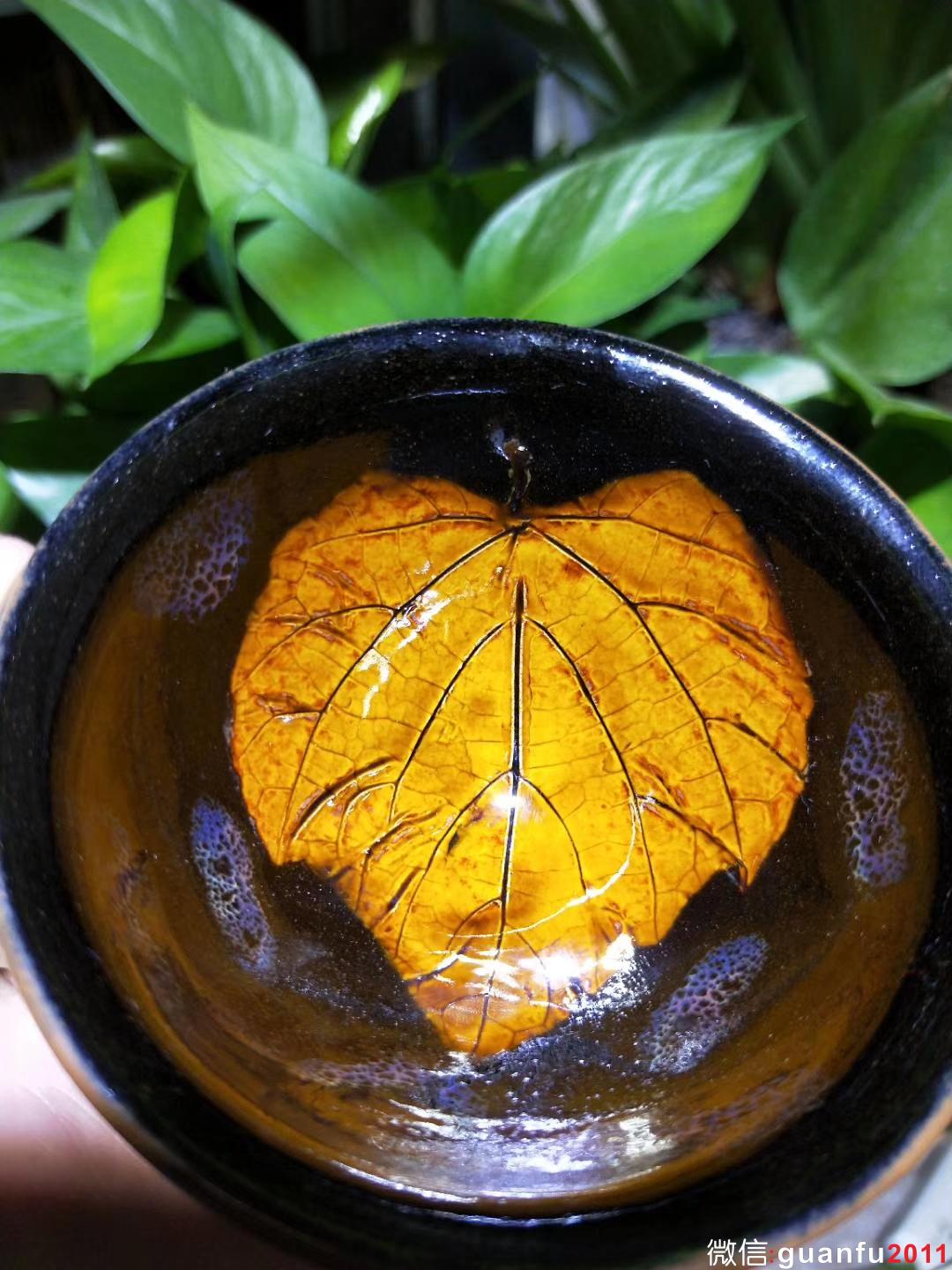 mmexport1530425542999