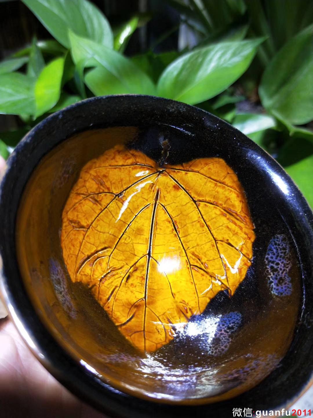 mmexport1530425545819