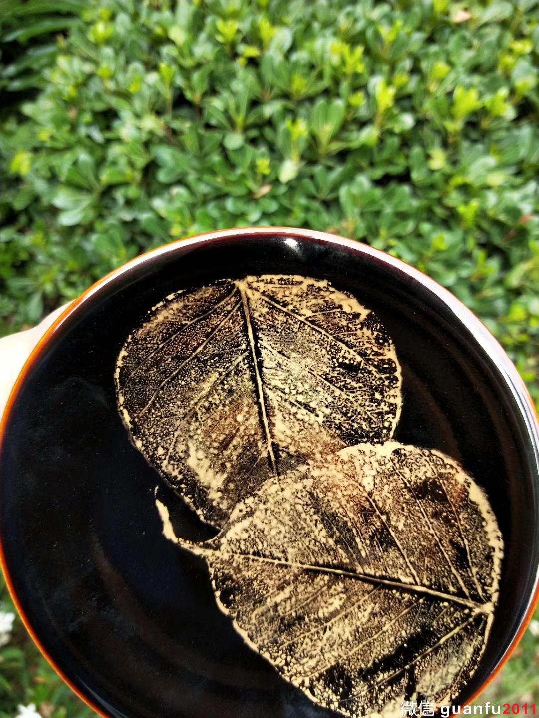 范澤鋒老師 雙木葉盞托 15.3/1.5