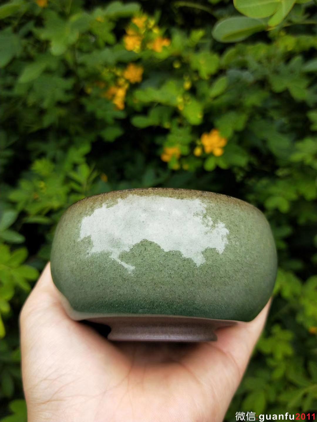 王東凱老師 青檸