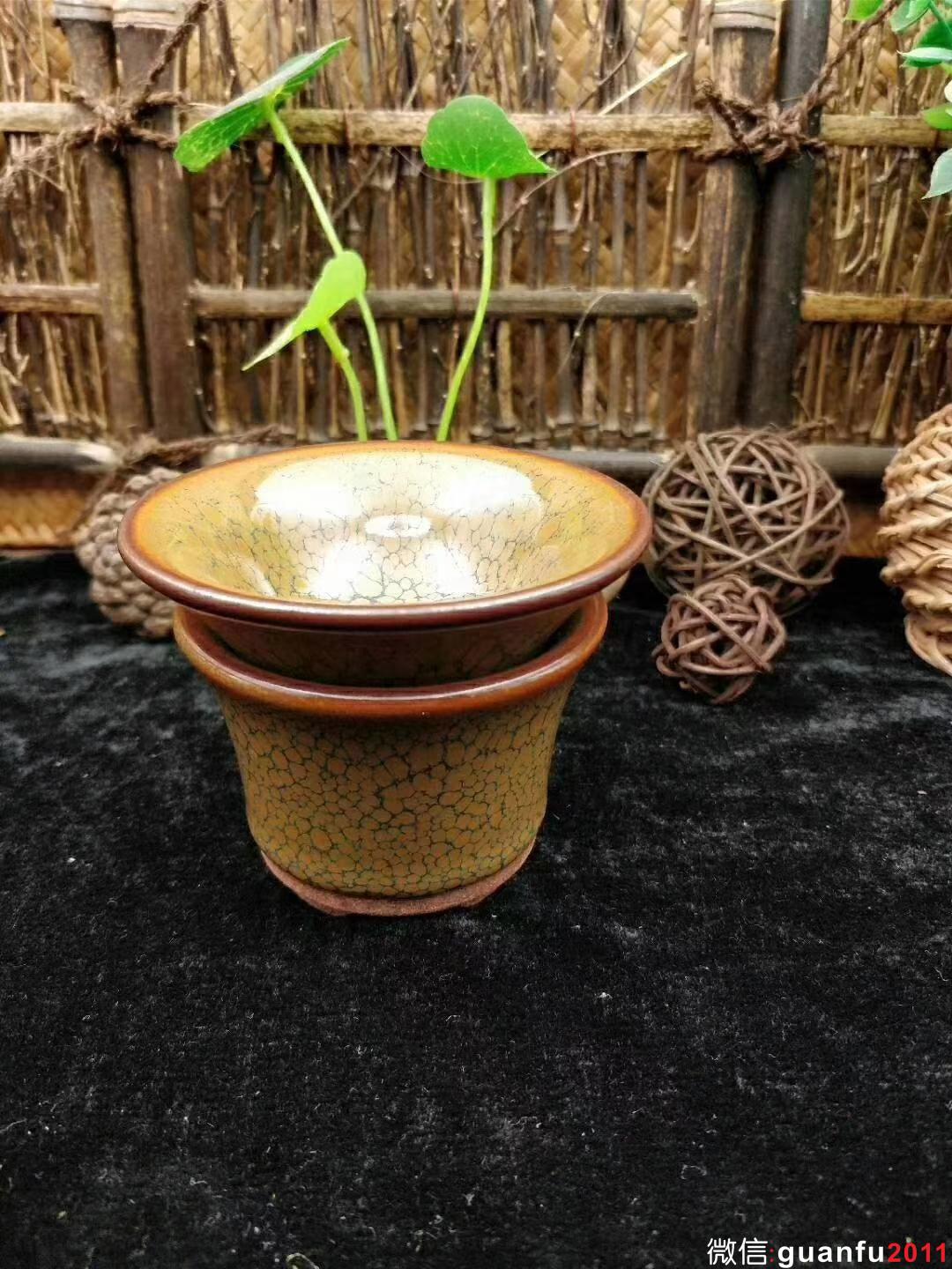 mmexport1530597052541