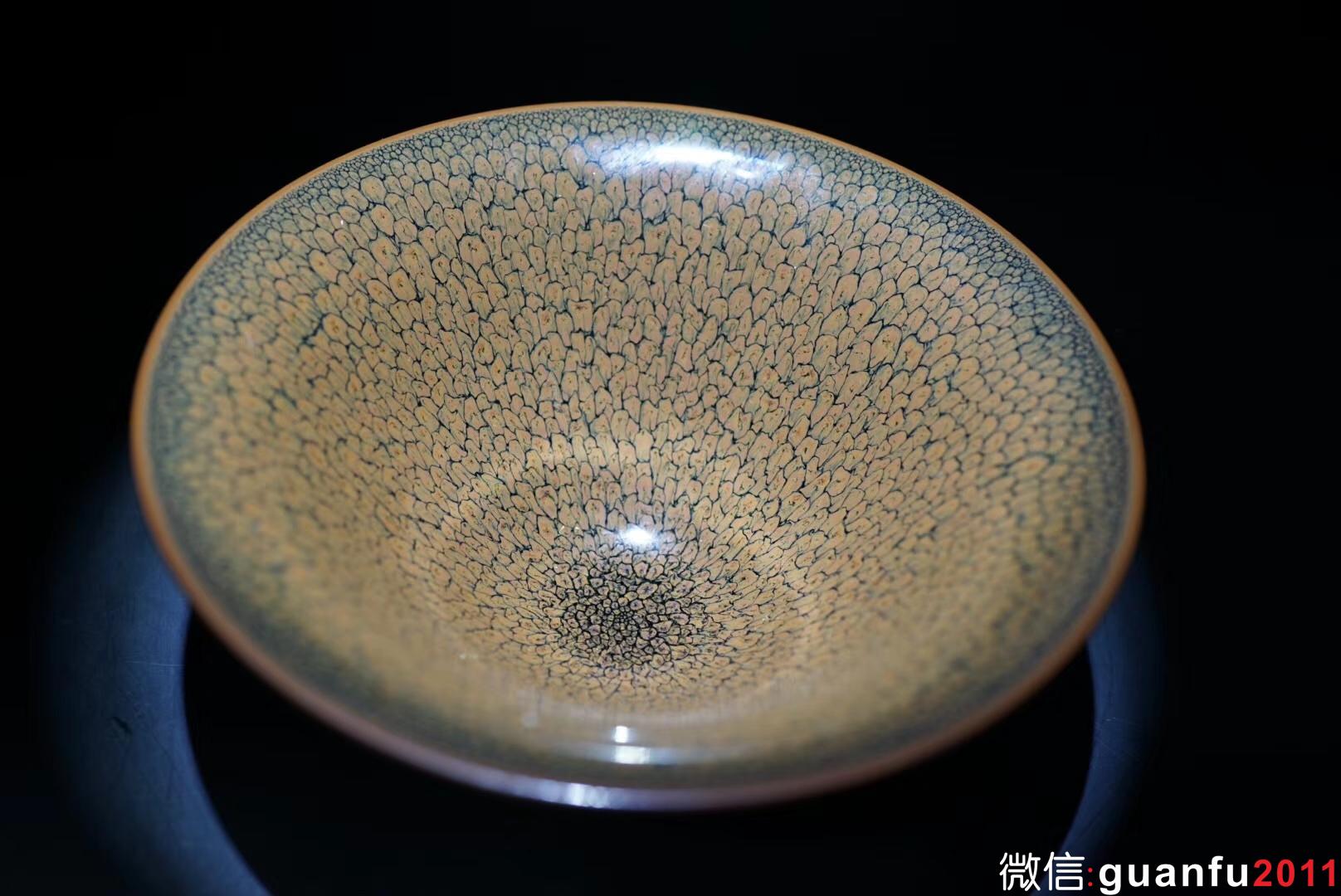 陳大鵬老師 16.5口徑 黃鷓鴣斑