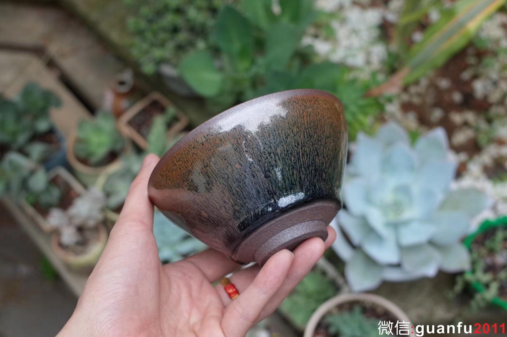 mmexport1531291053602