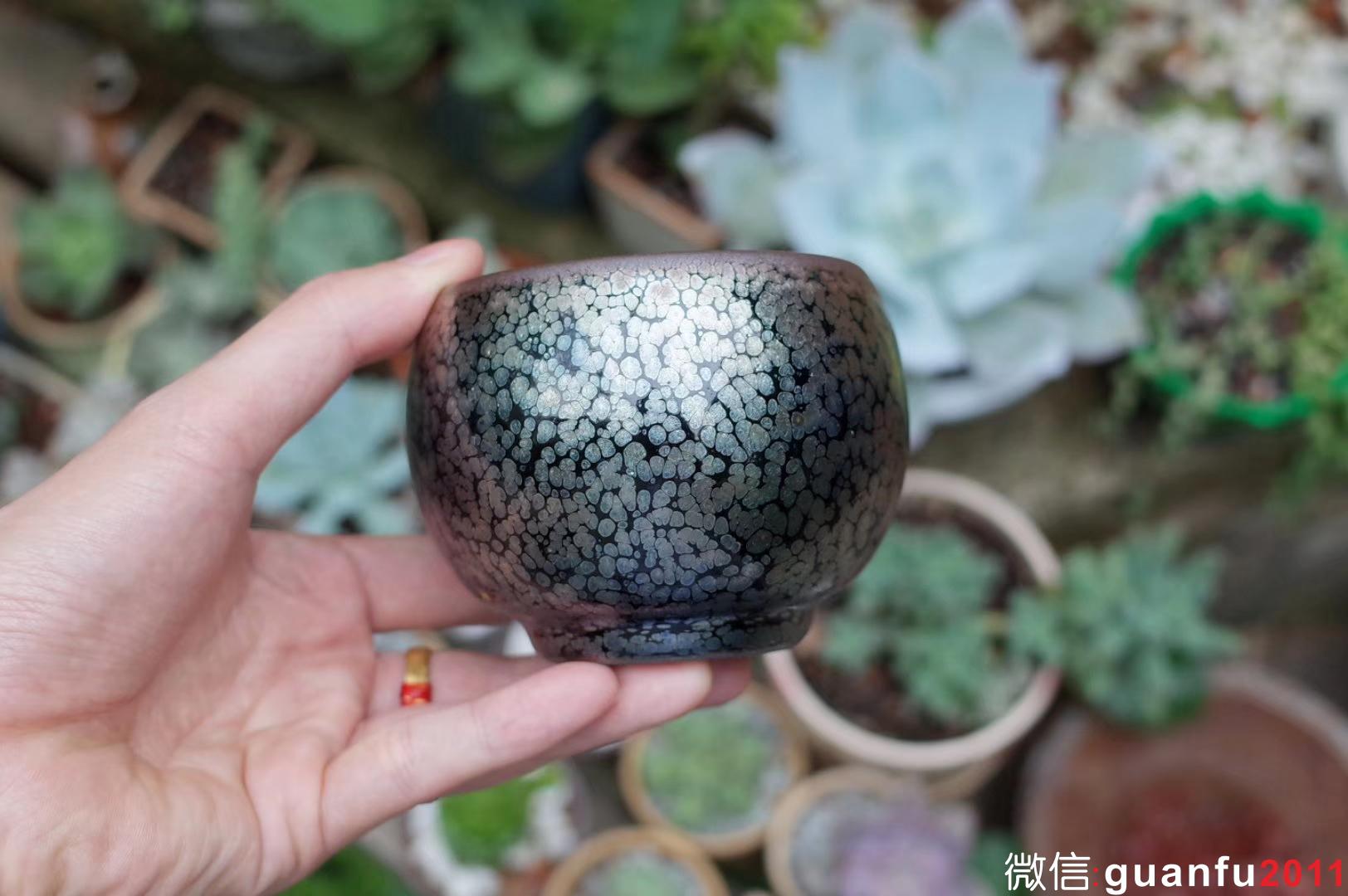 mmexport1531291156139