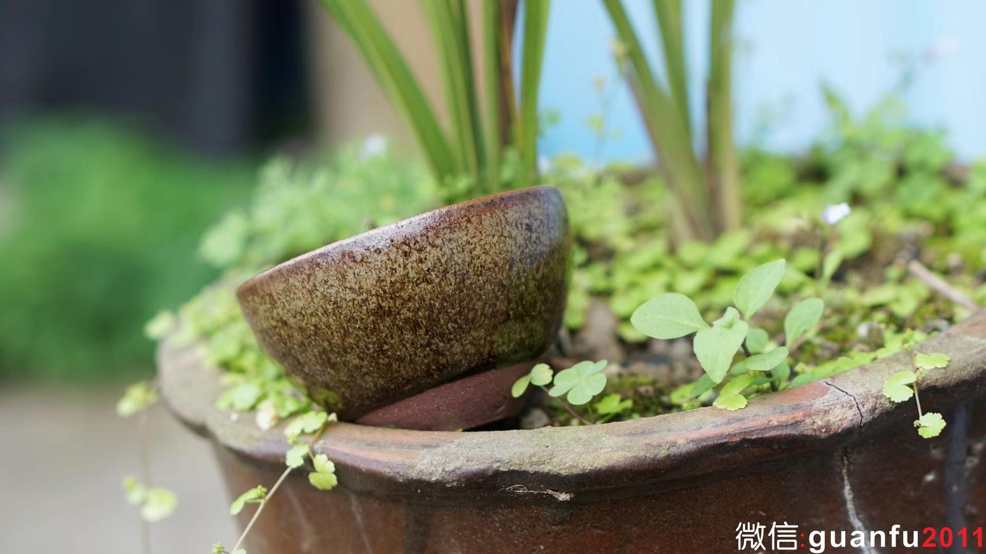 mmexport1531291971696