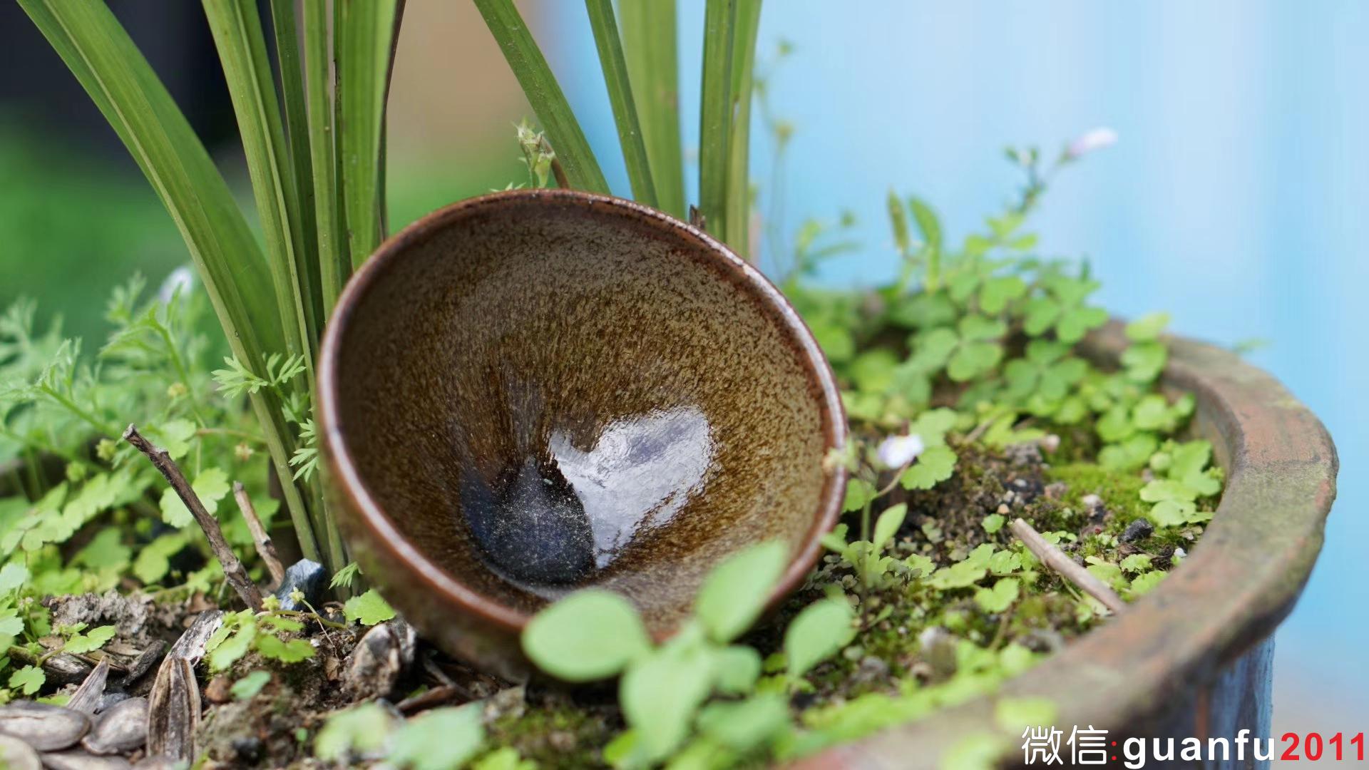 mmexport1531291974166