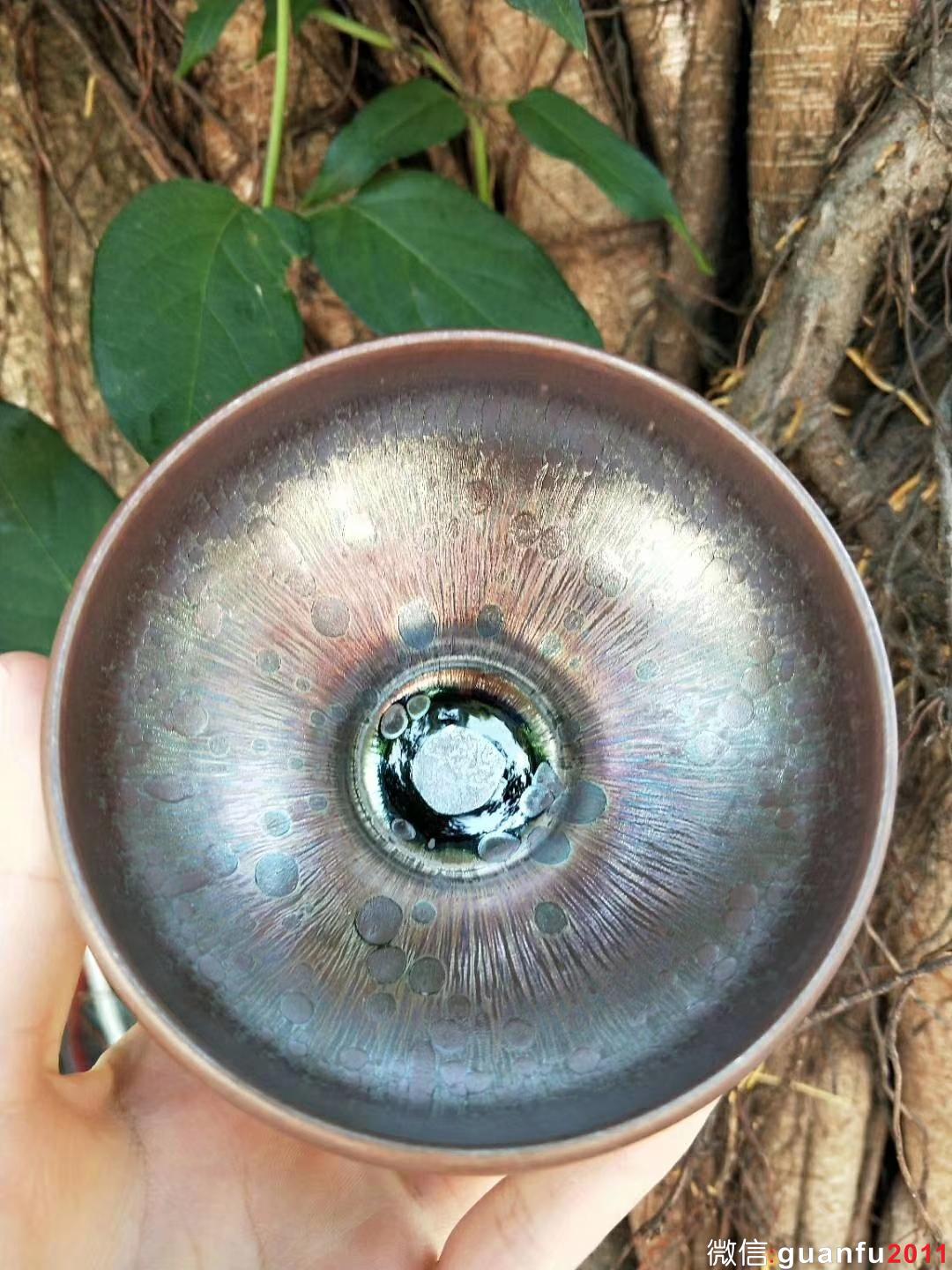 鄭勇“虹彩”8.5X5.5