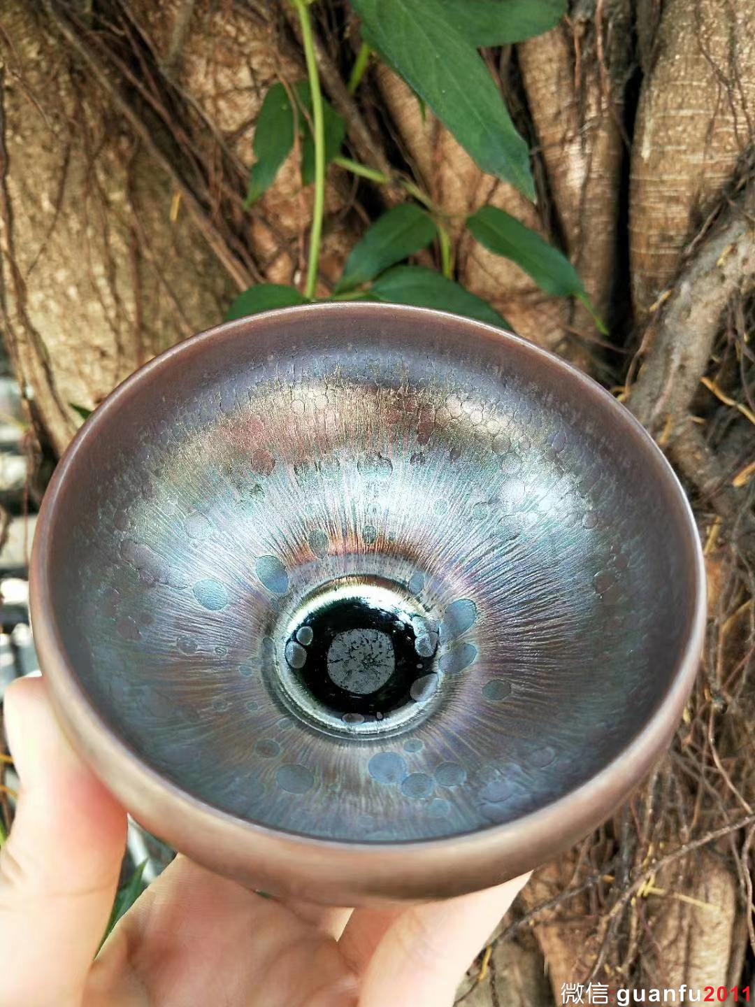 鄭勇“虹彩”8.5X5.5