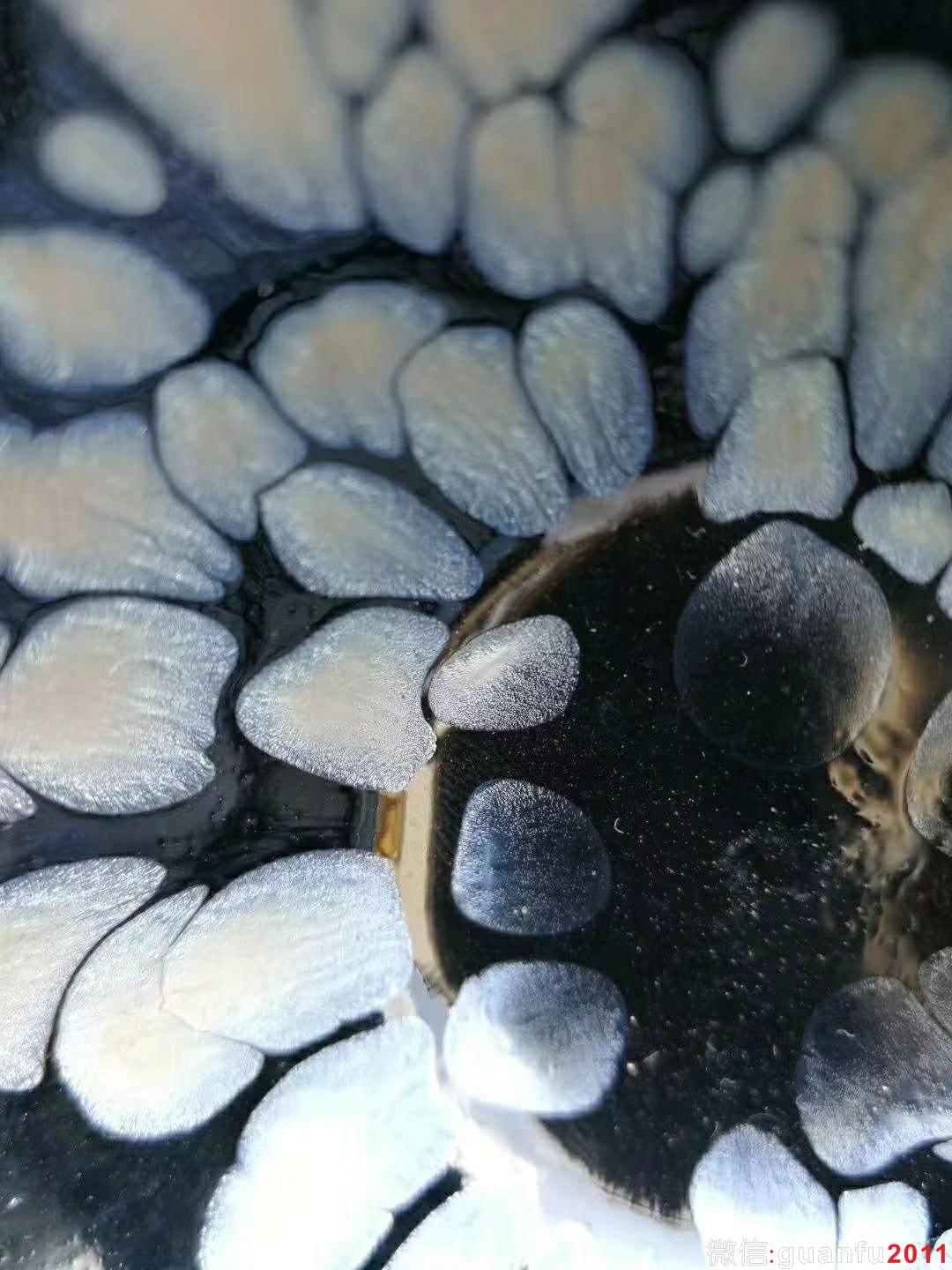 mmexport1531633452891