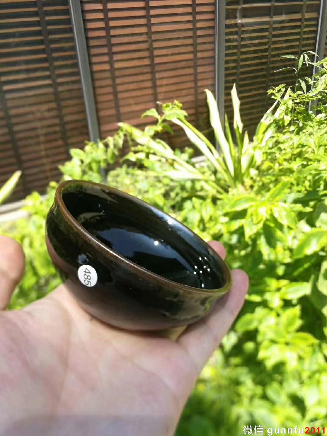 mmexport1531724747516