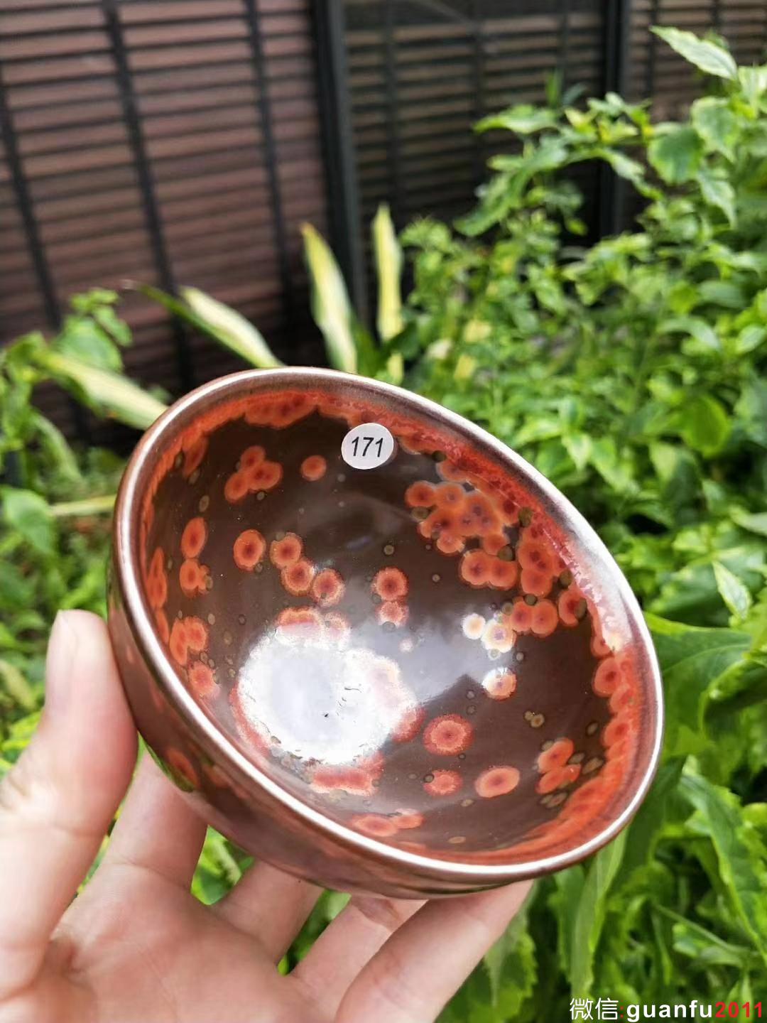 mmexport1531808651225