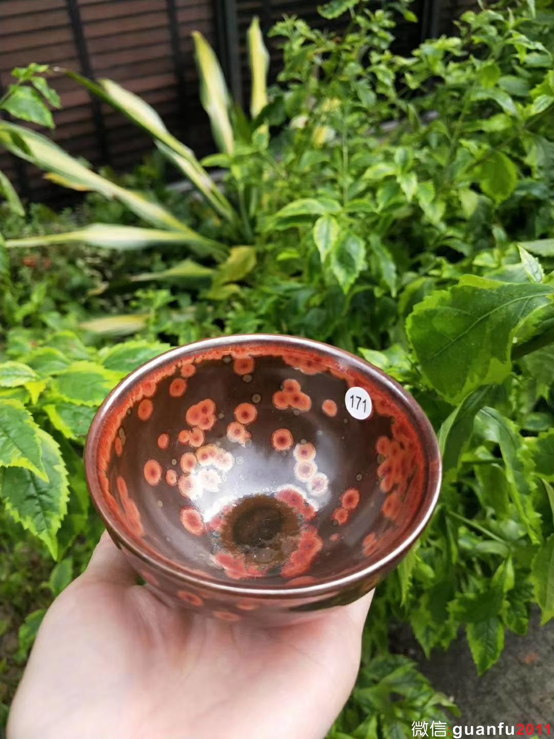 mmexport1531808668099