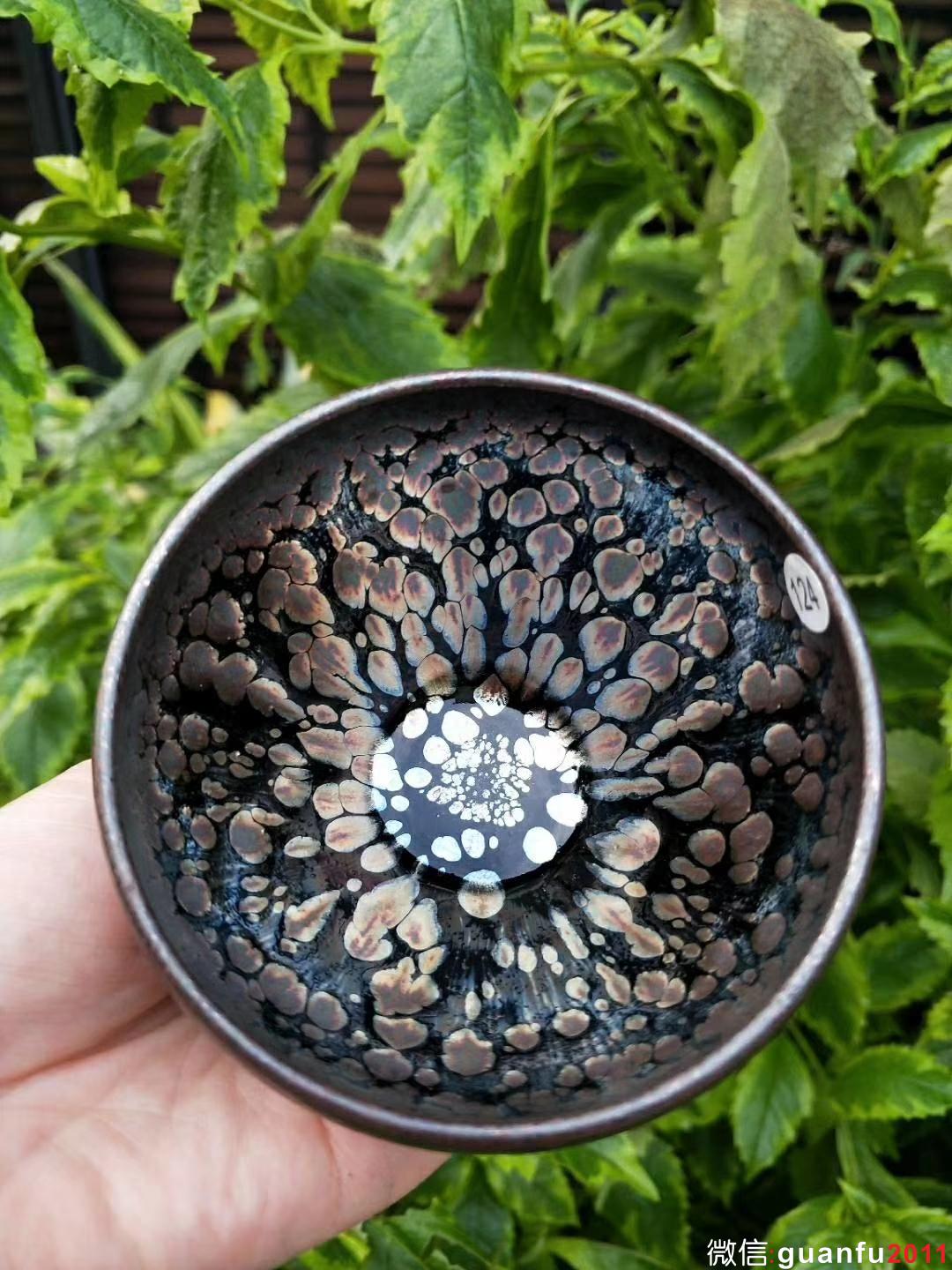 mmexport1531809813441