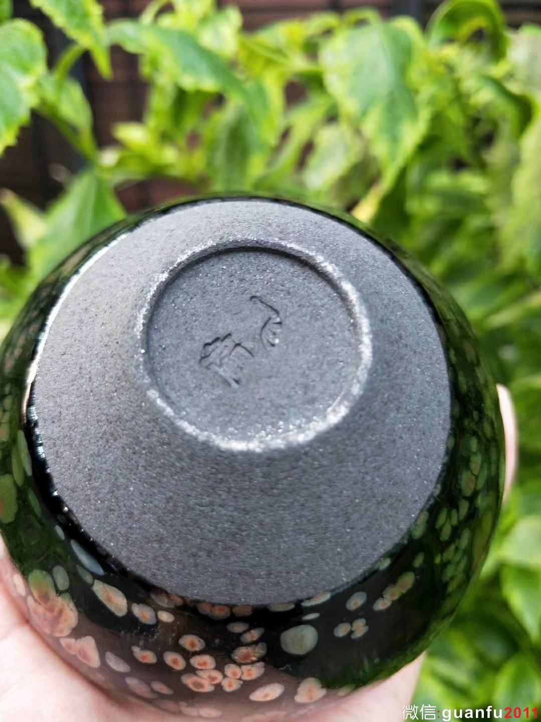 mmexport1531809827754