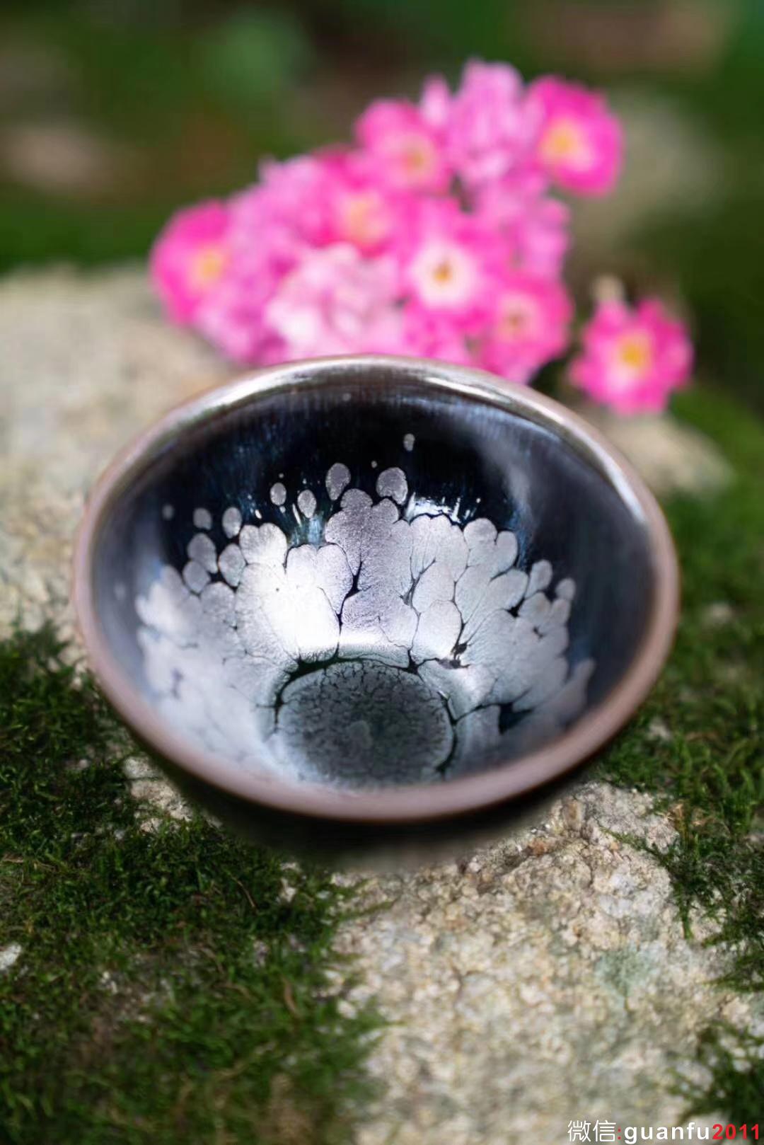 mmexport1531878197717