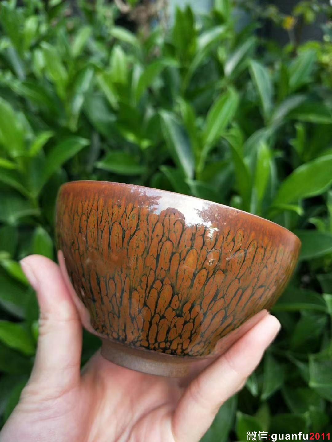 mmexport1531879819000