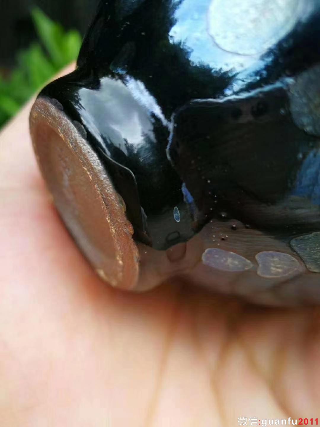 mmexport1531880394677