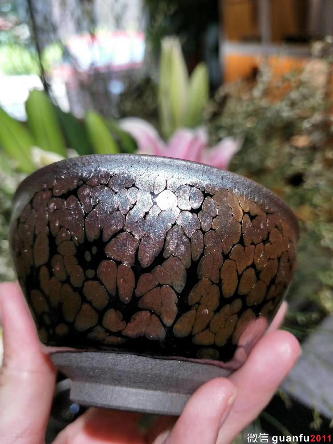 mmexport1531980118003