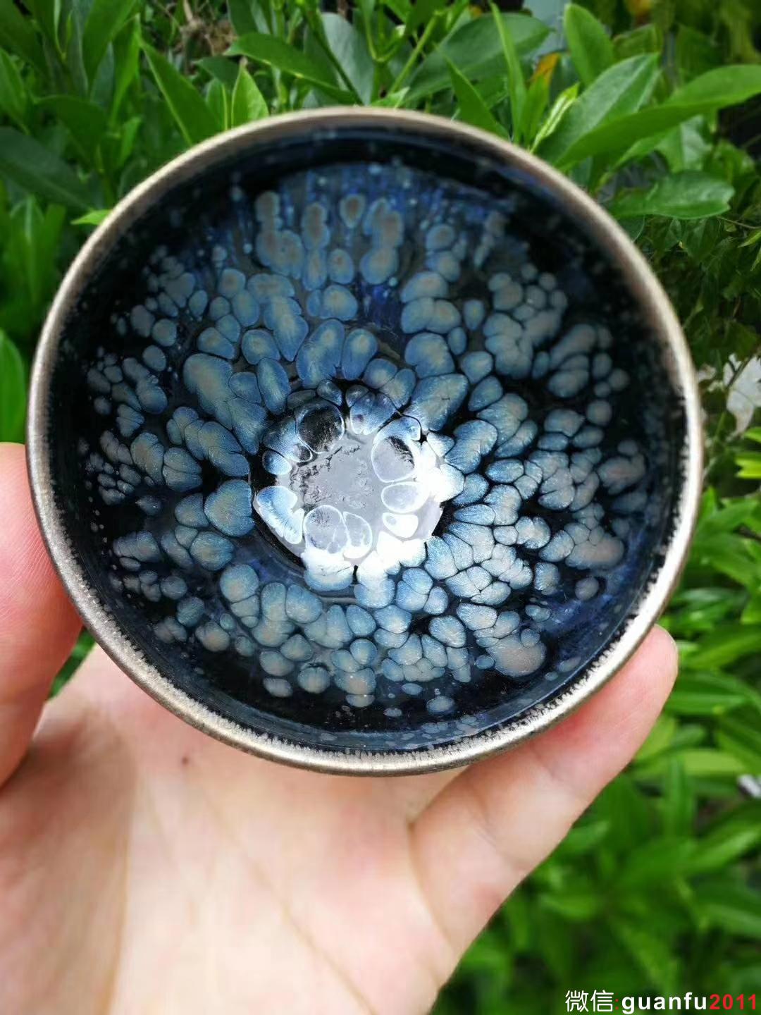 mmexport1532051970889