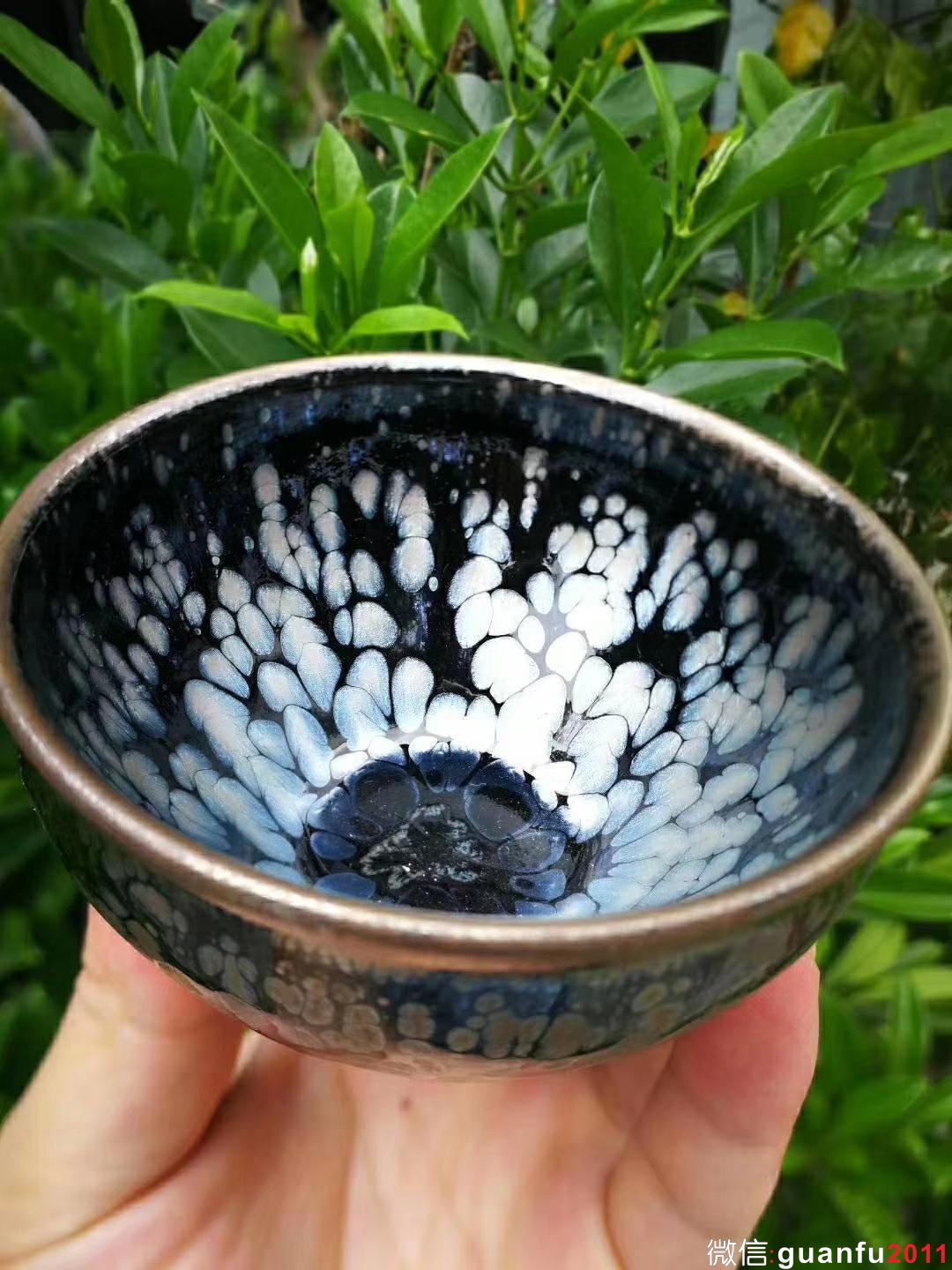 mmexport1532051974517