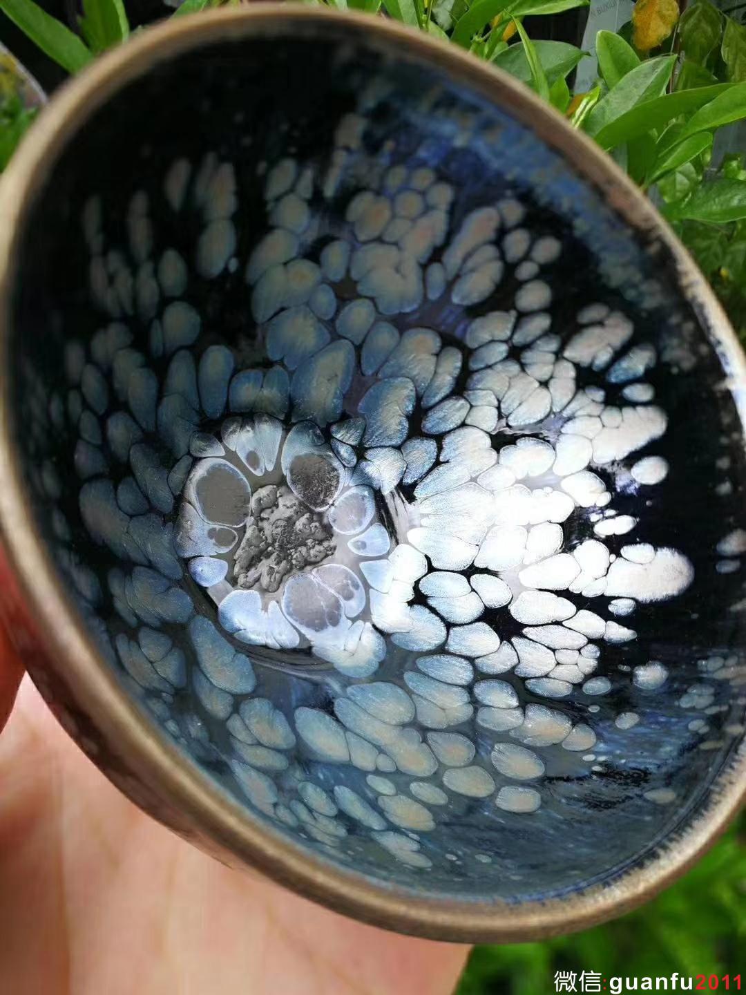 mmexport1532051976108