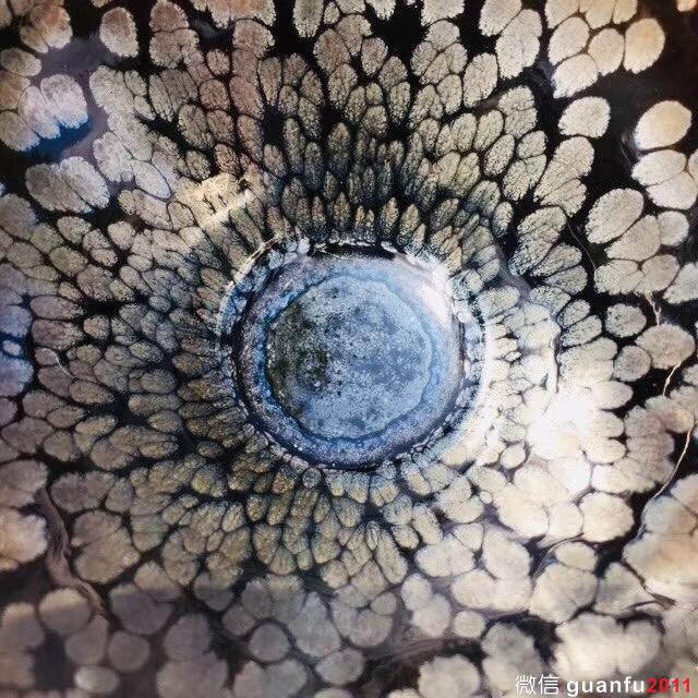 mmexport1532223412853