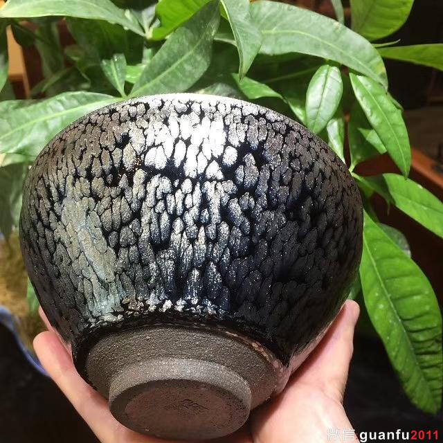 mmexport1532229005072