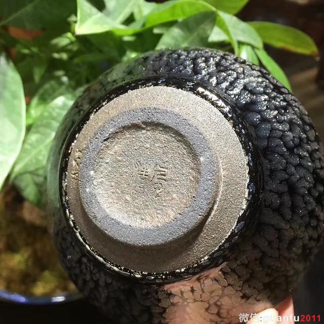 mmexport1532229007516