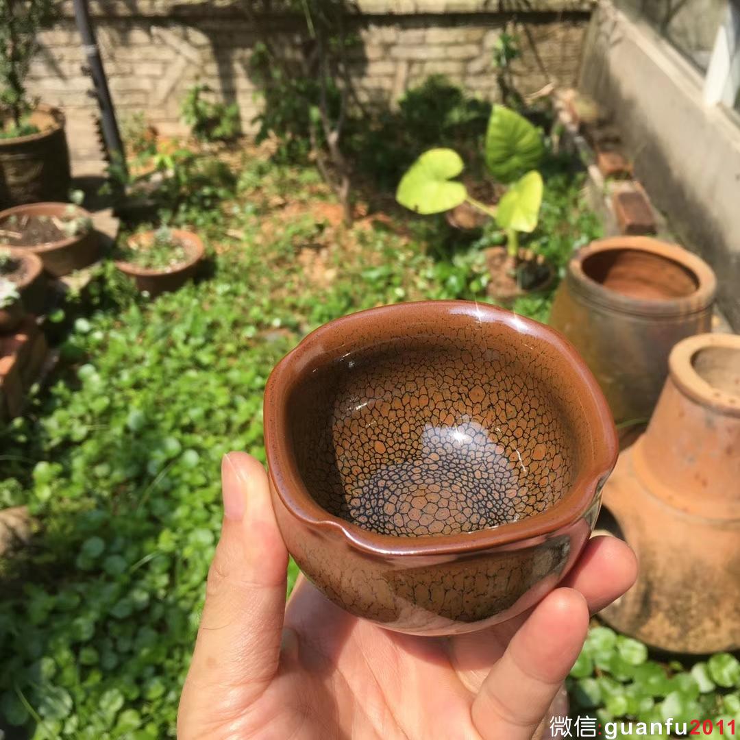 陳葉琦作品 「方圓」鷓鴣斑