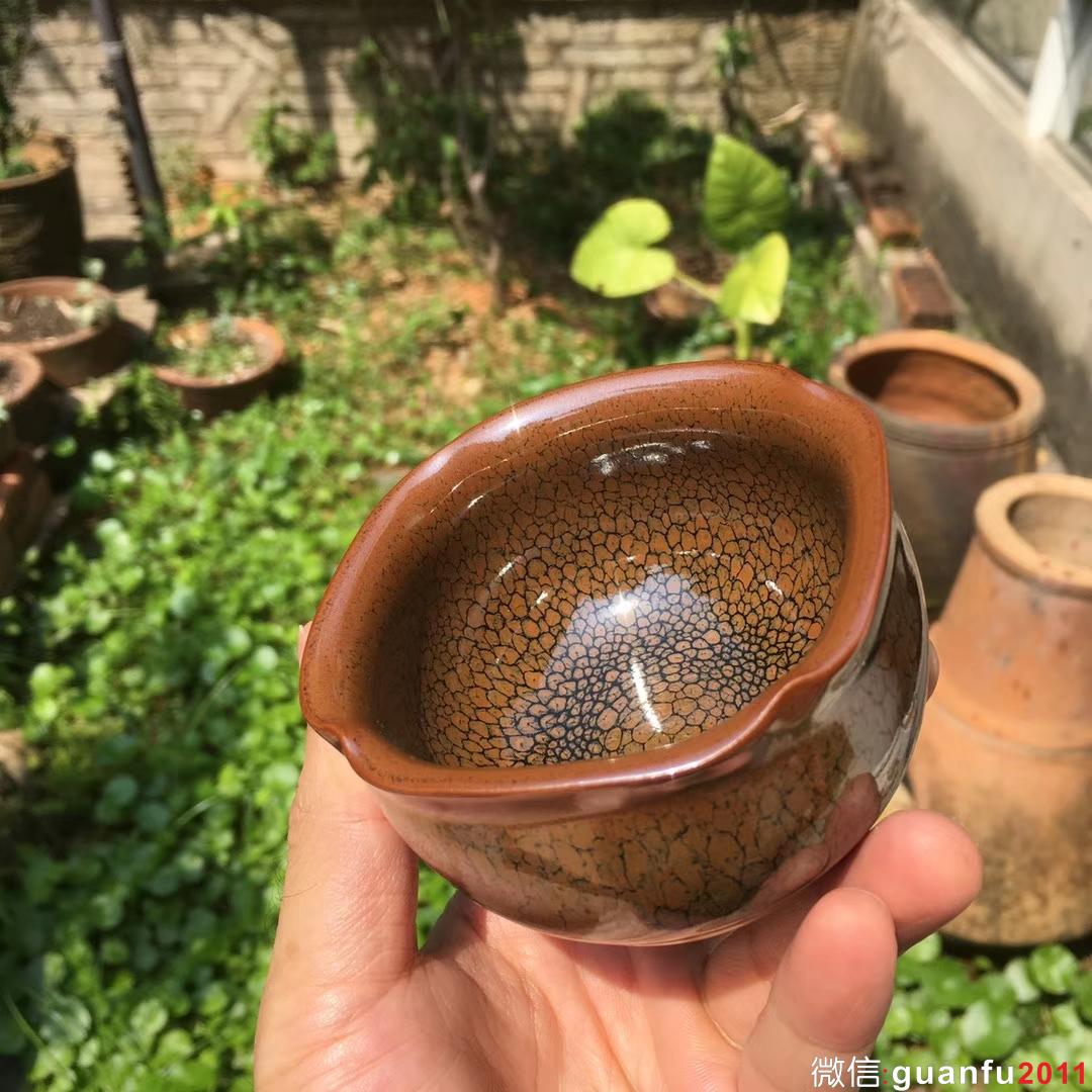 陳葉琦作品 「方圓」鷓鴣斑