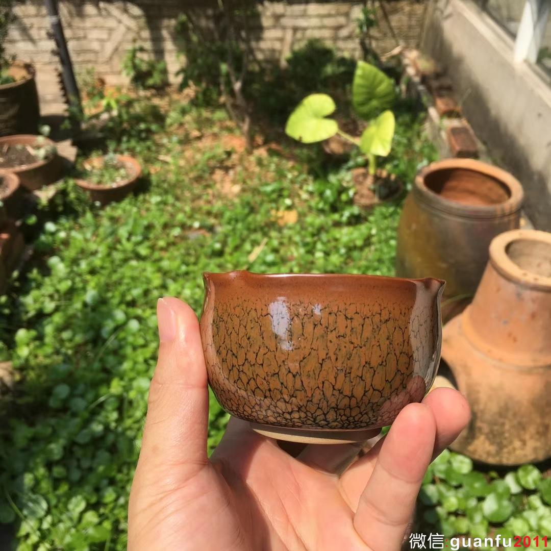 陳葉琦作品 「方圓」鷓鴣斑