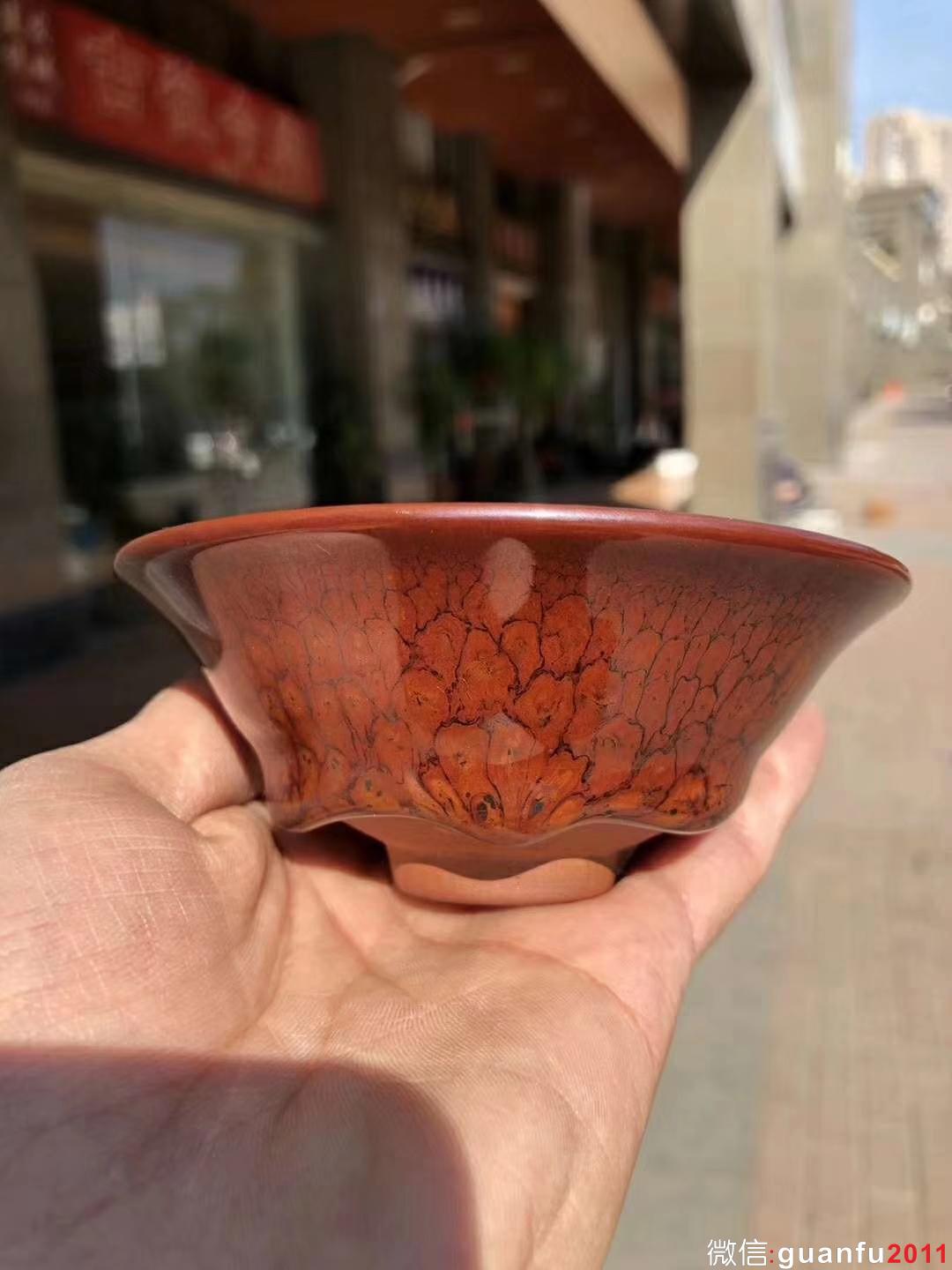 mmexport1532487985445