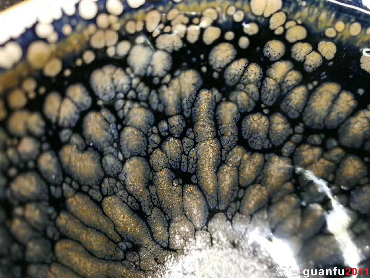 mmexport1532488841438