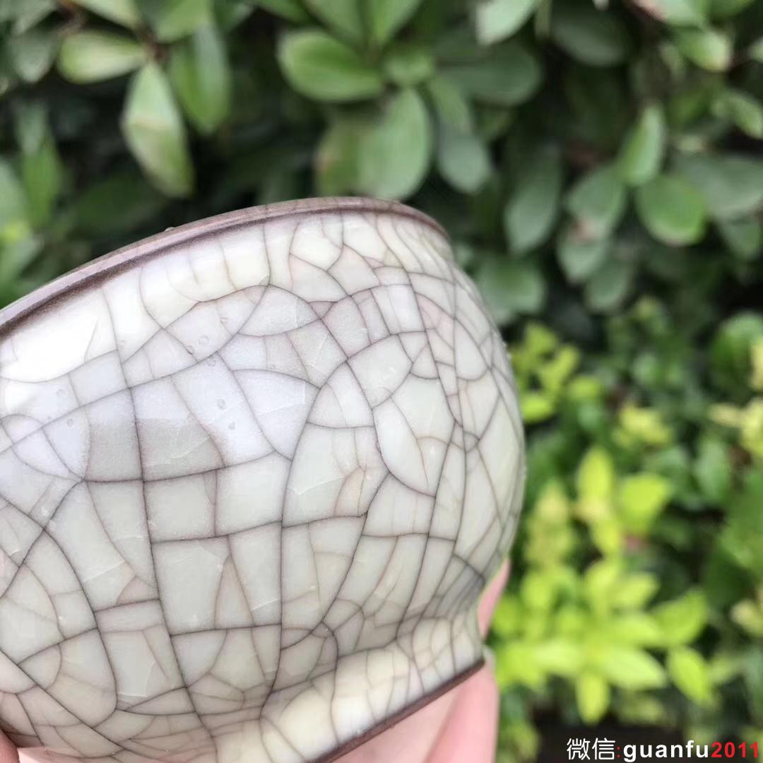 mmexport1532581346772