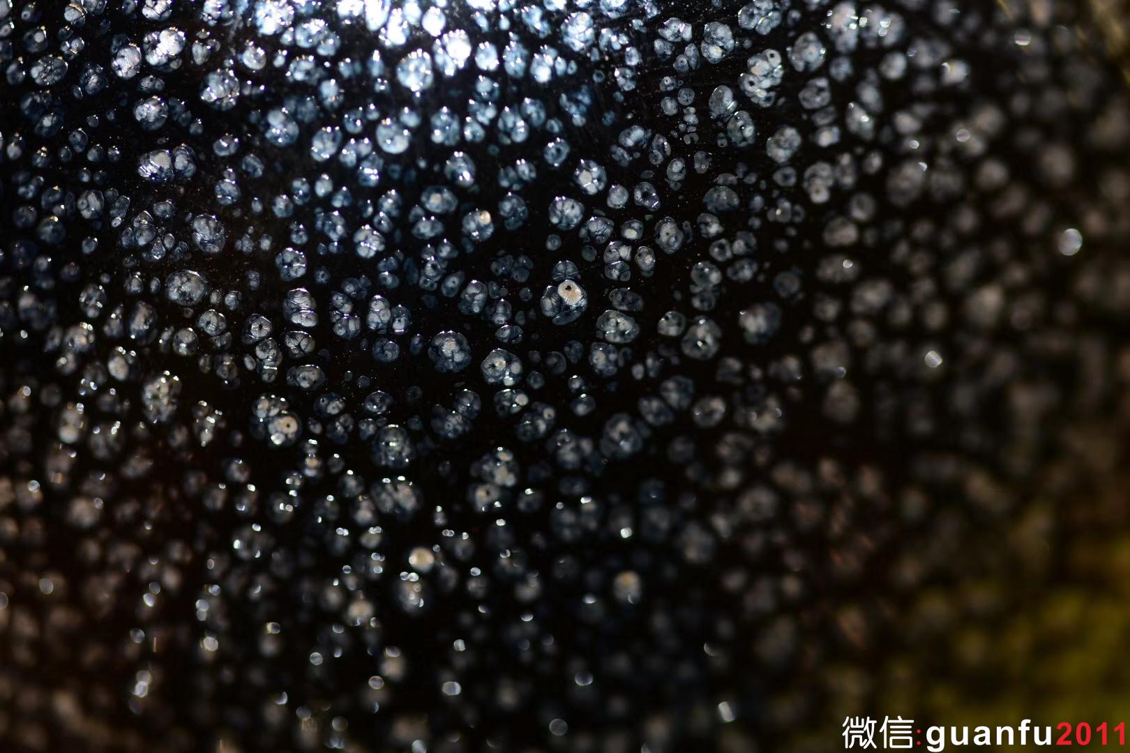 【問道】 陳慧敏  口經：10.5 高6