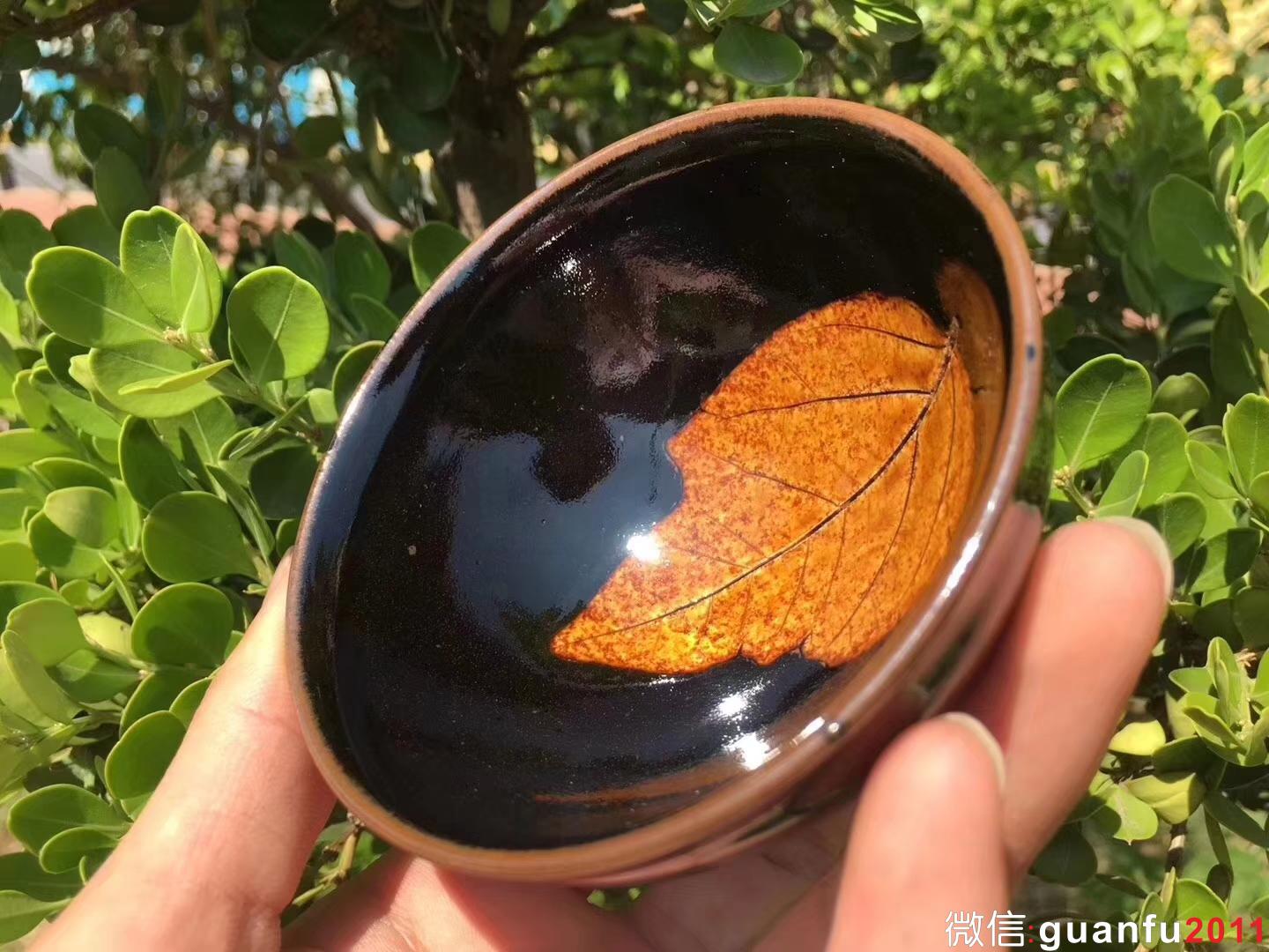 mmexport1532854625143