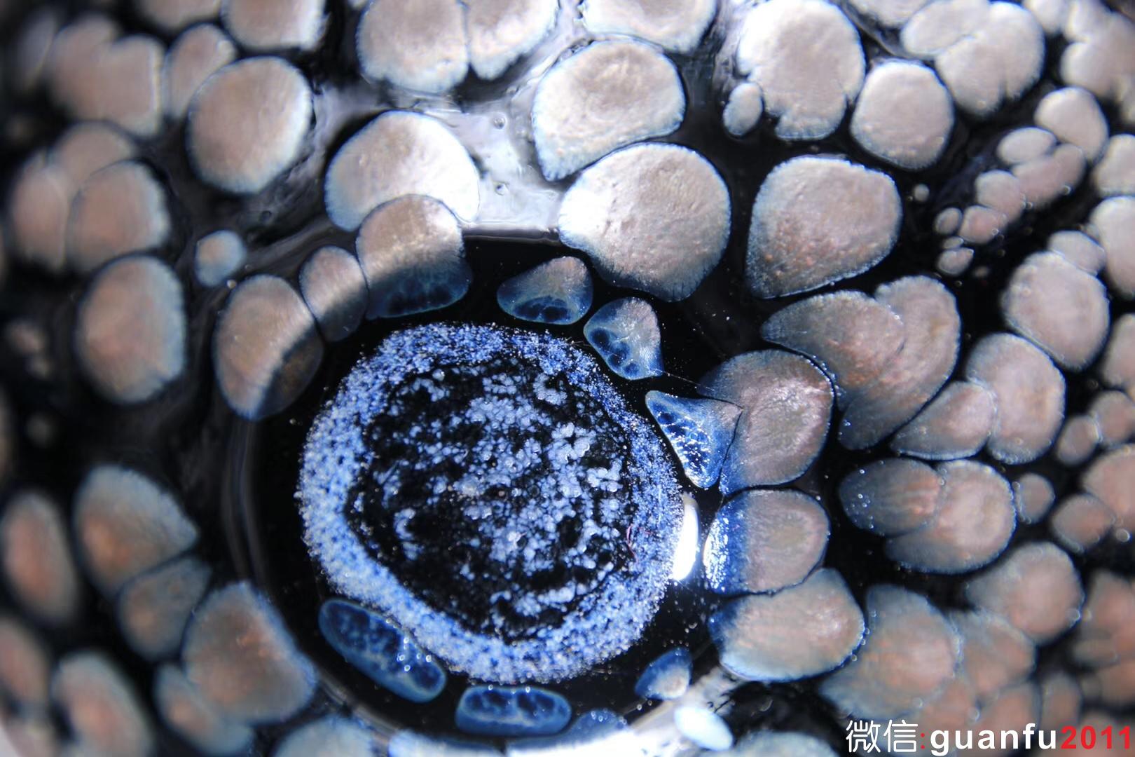 mmexport1532920871544