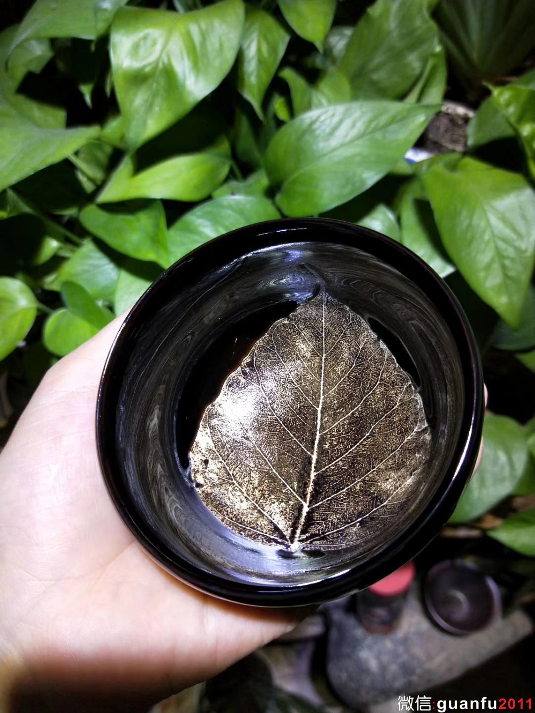 mmexport1533007779303