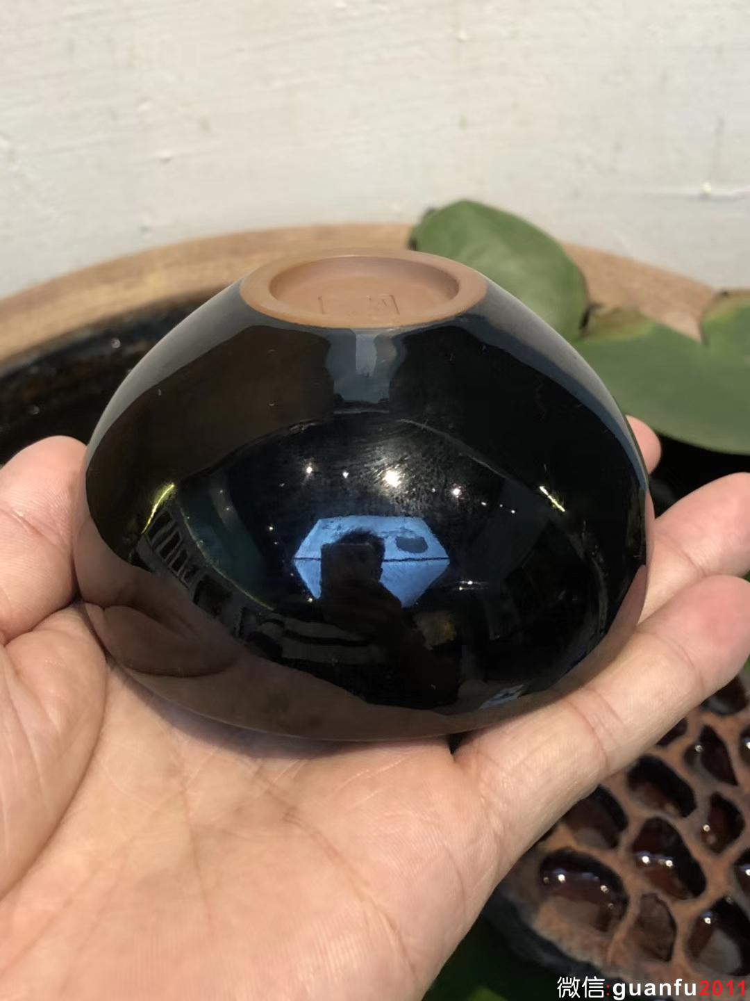 mmexport1533088030776