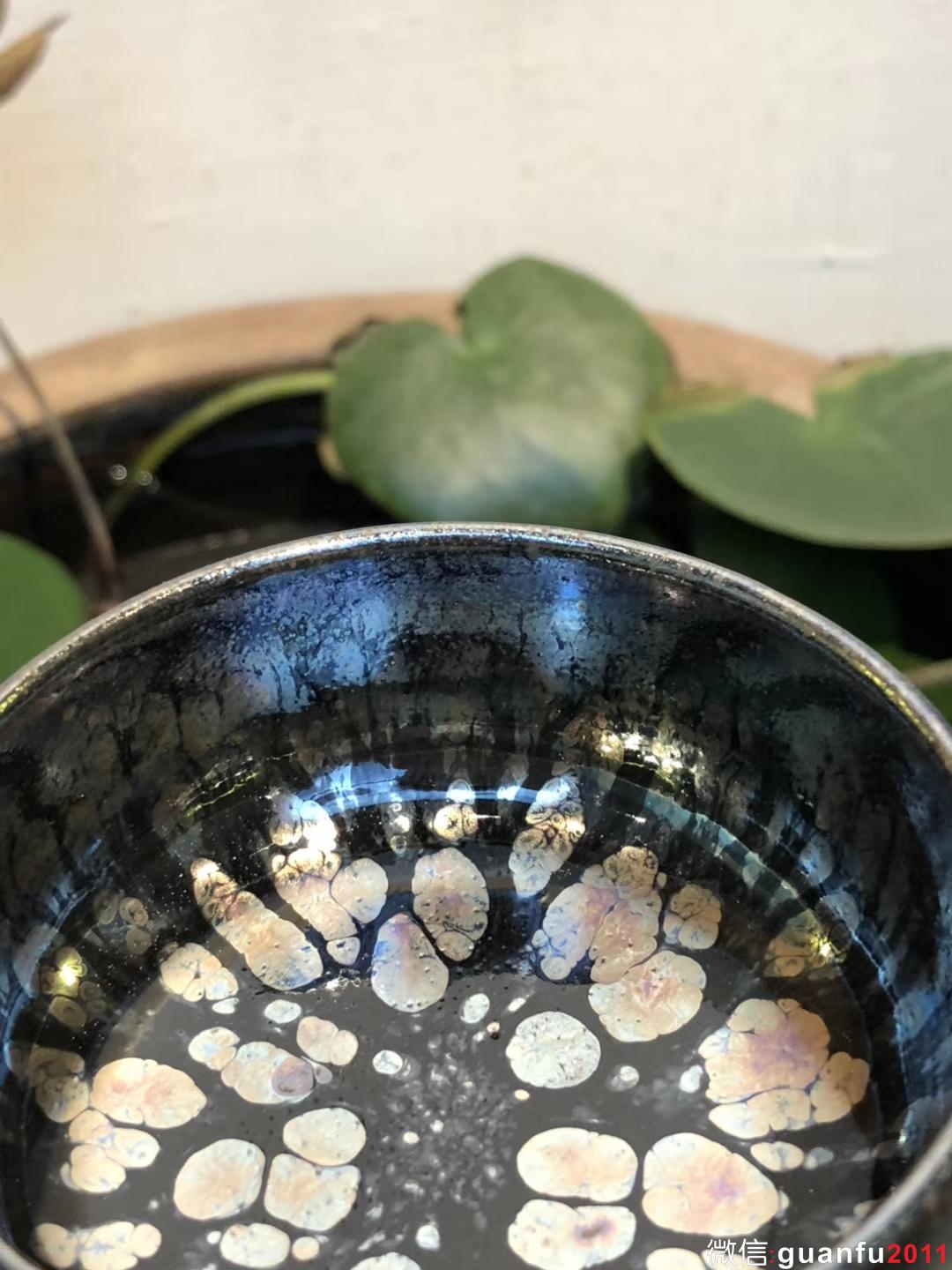 飛惺 新品 禪定