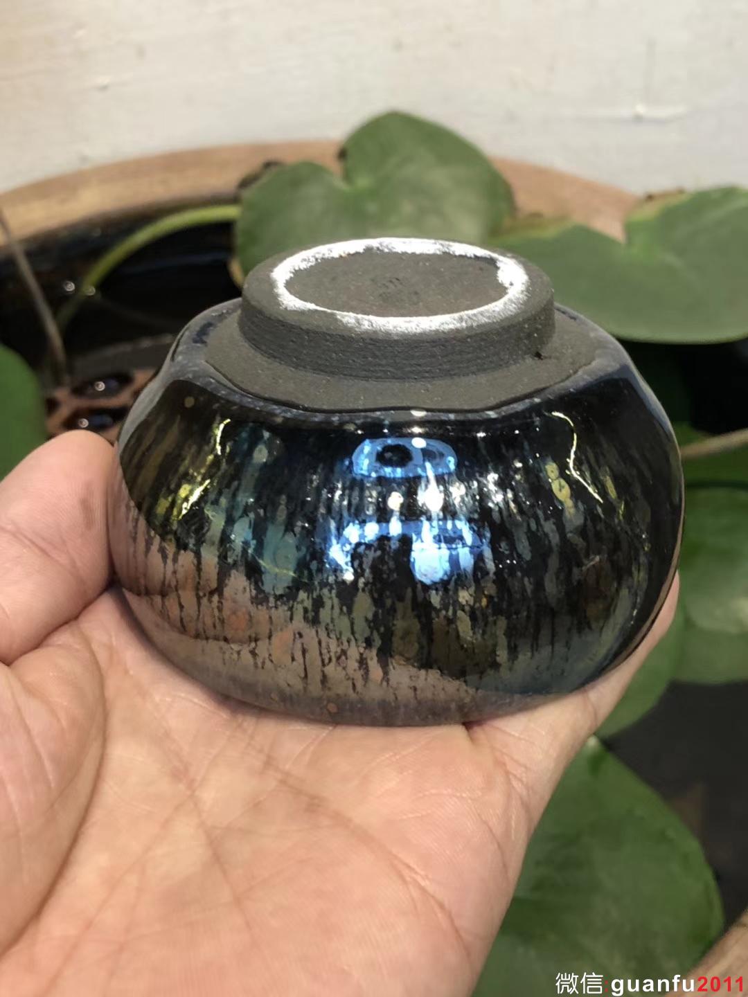 飛惺 新品 禪定