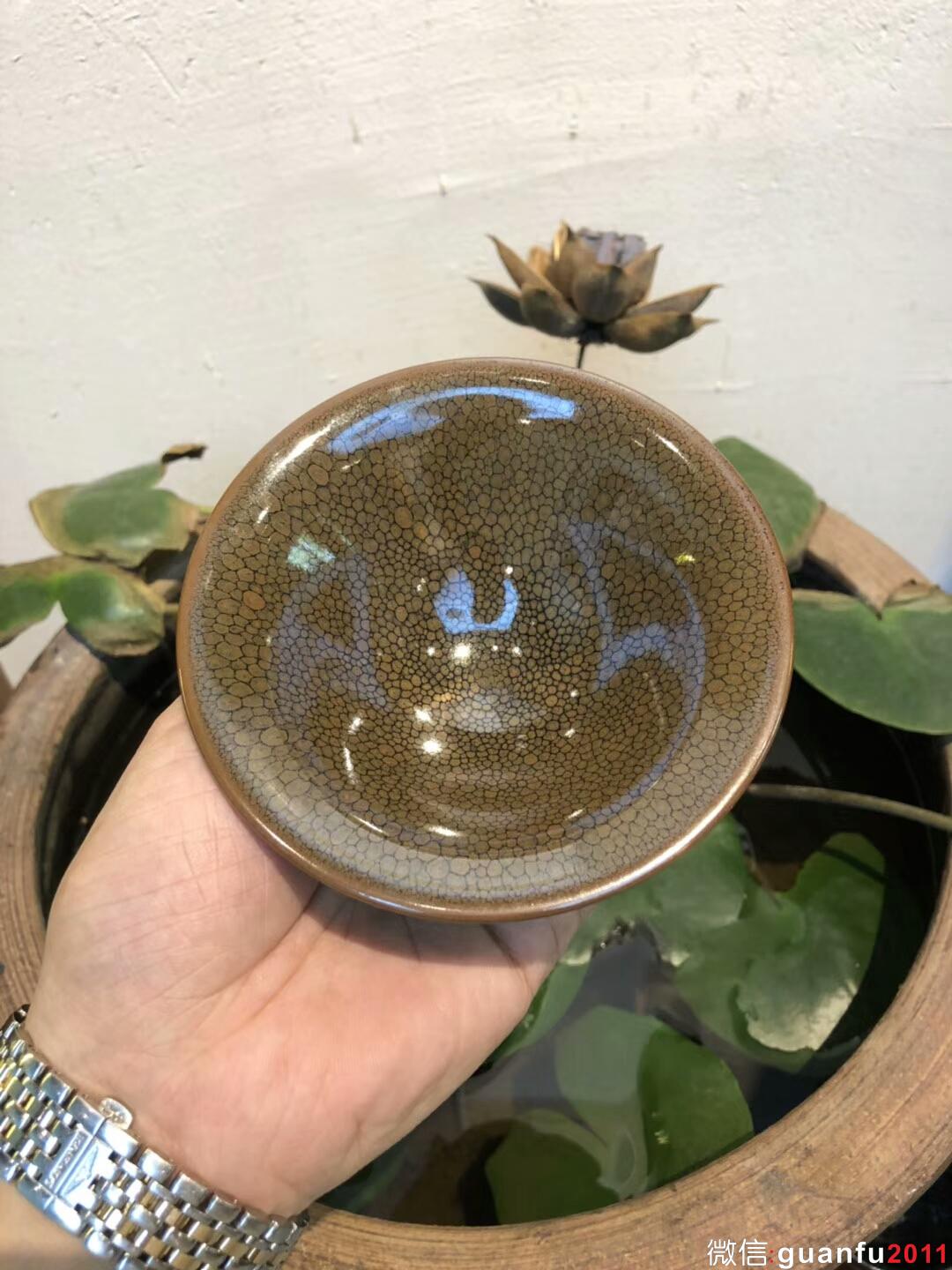 （黃鷓鴣斑） 陳葉琦老師作品