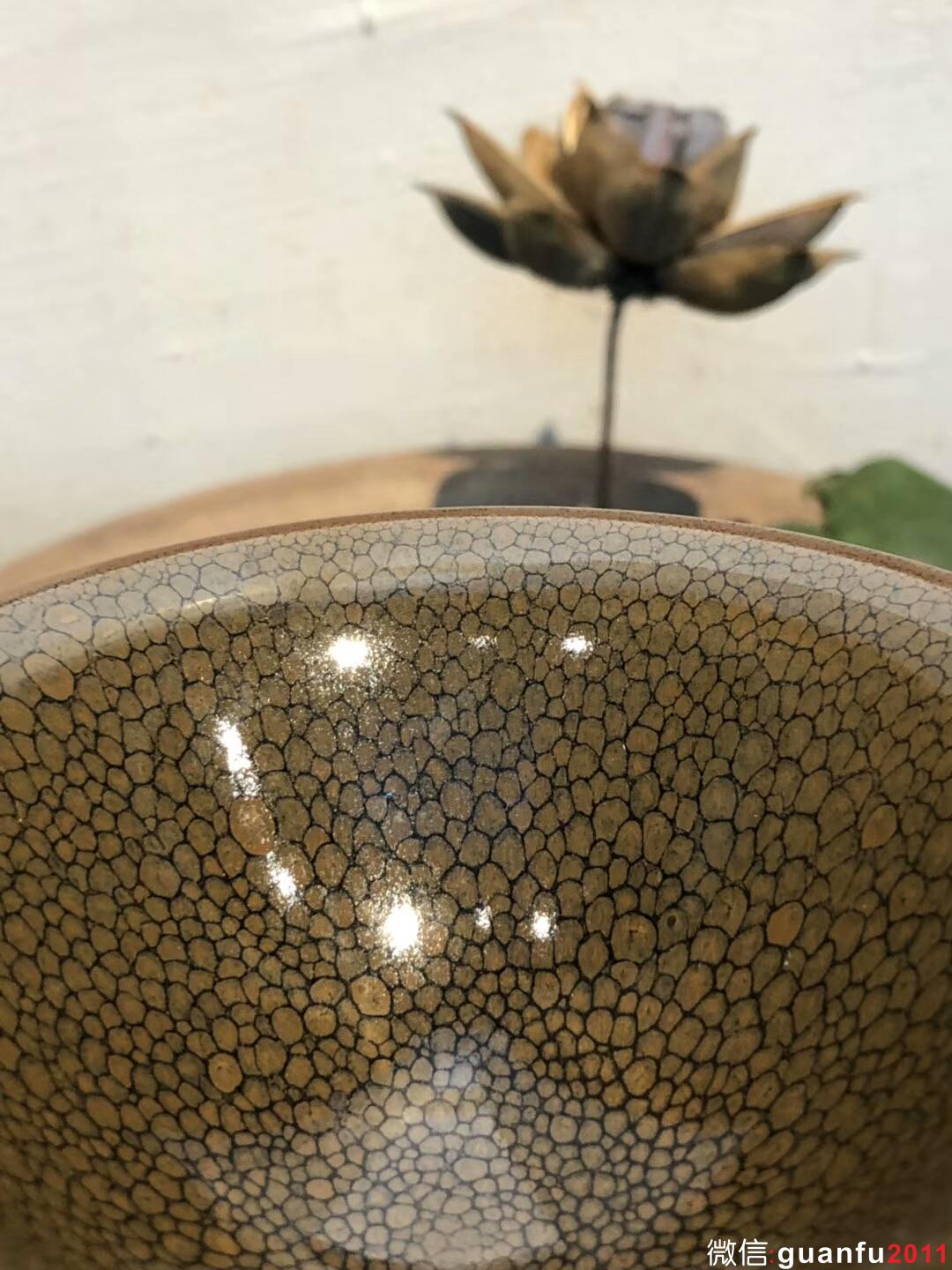 （黃鷓鴣斑） 陳葉琦老師作品