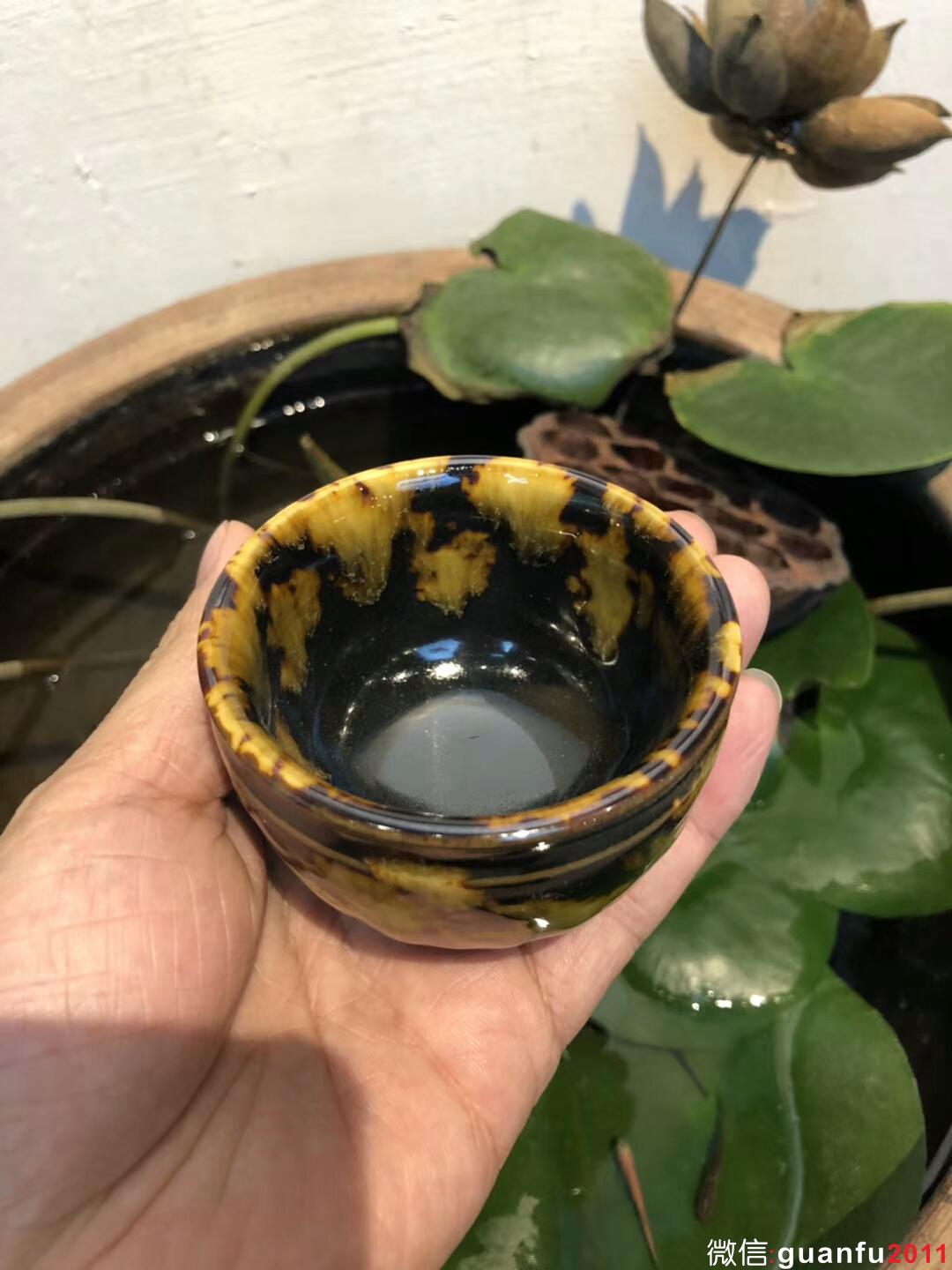 mmexport1533526691528