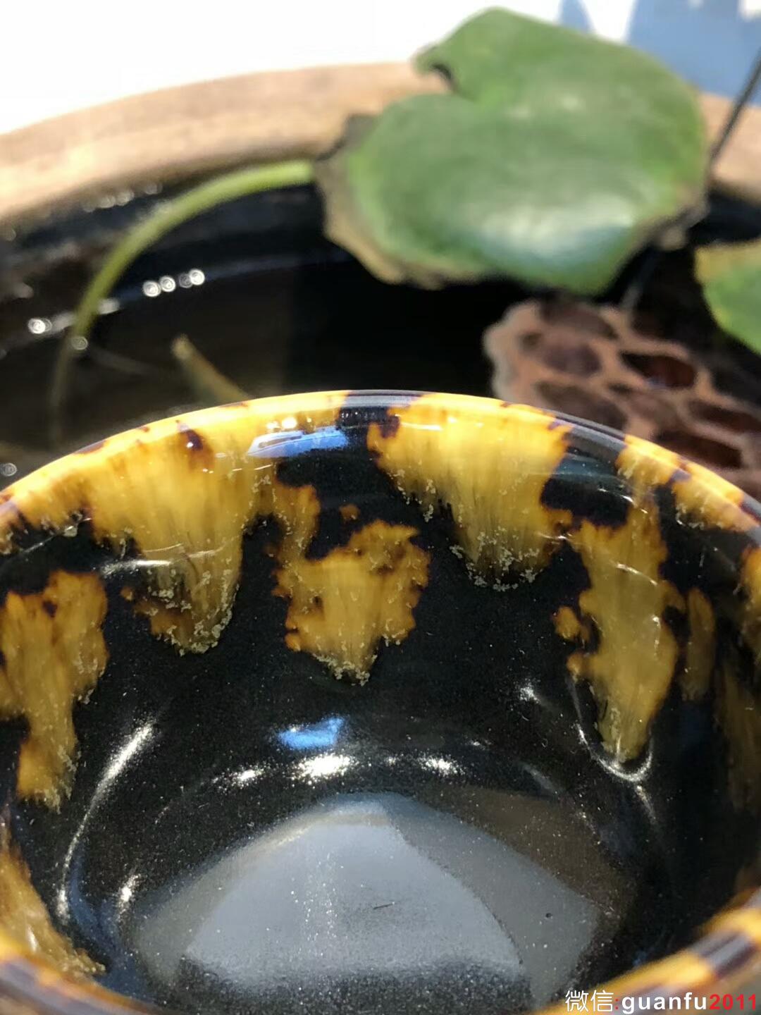 mmexport1533526694481