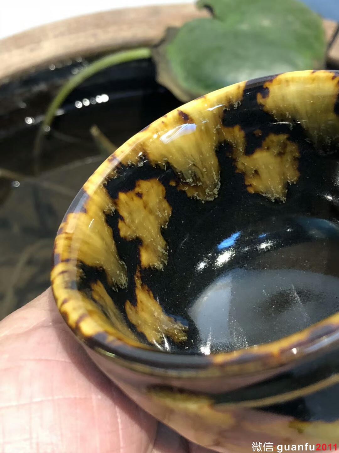 mmexport1533526703307